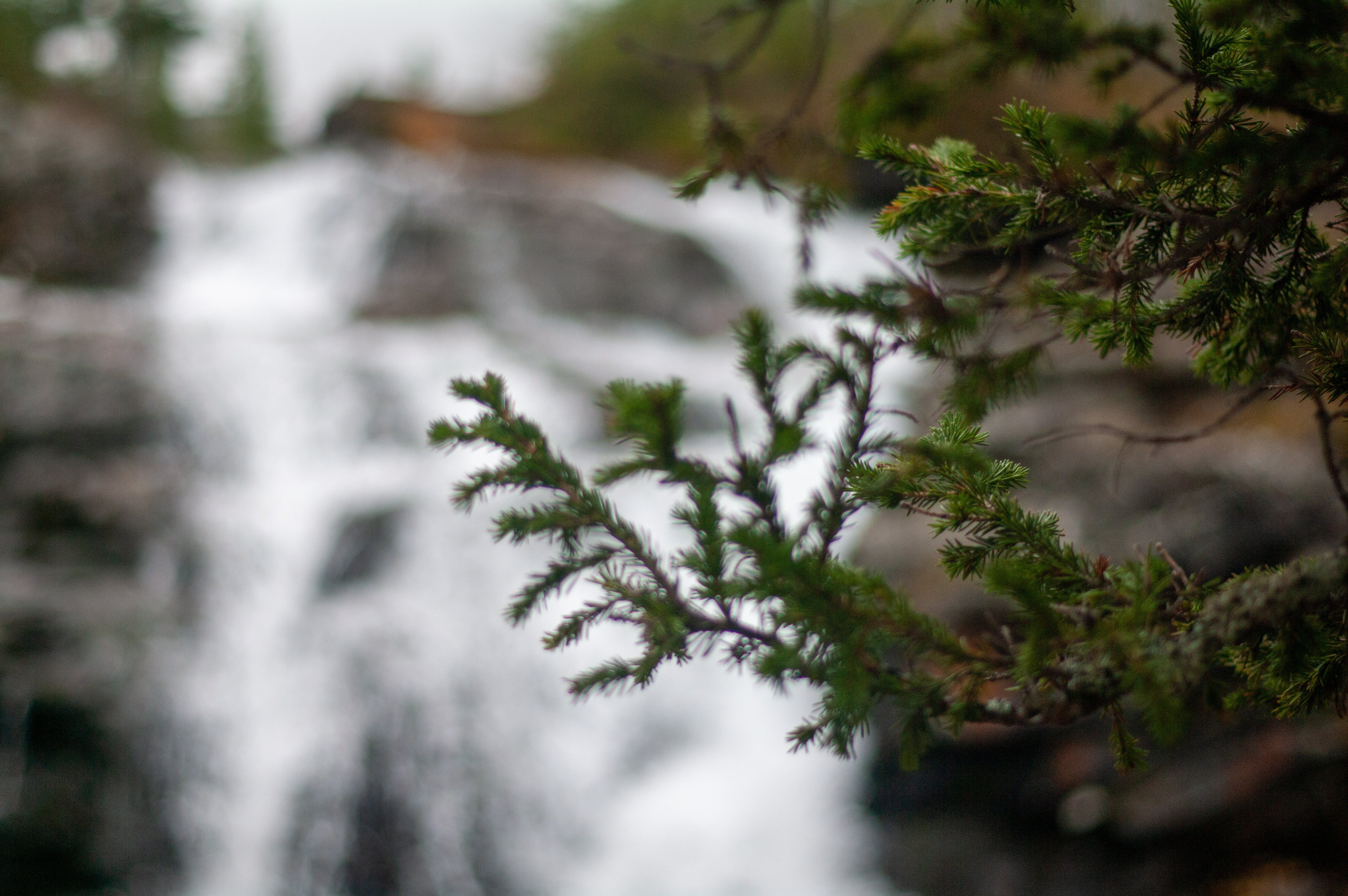 Хибины: однодневный джип-тур к подножью Куэльпорра (4/52)