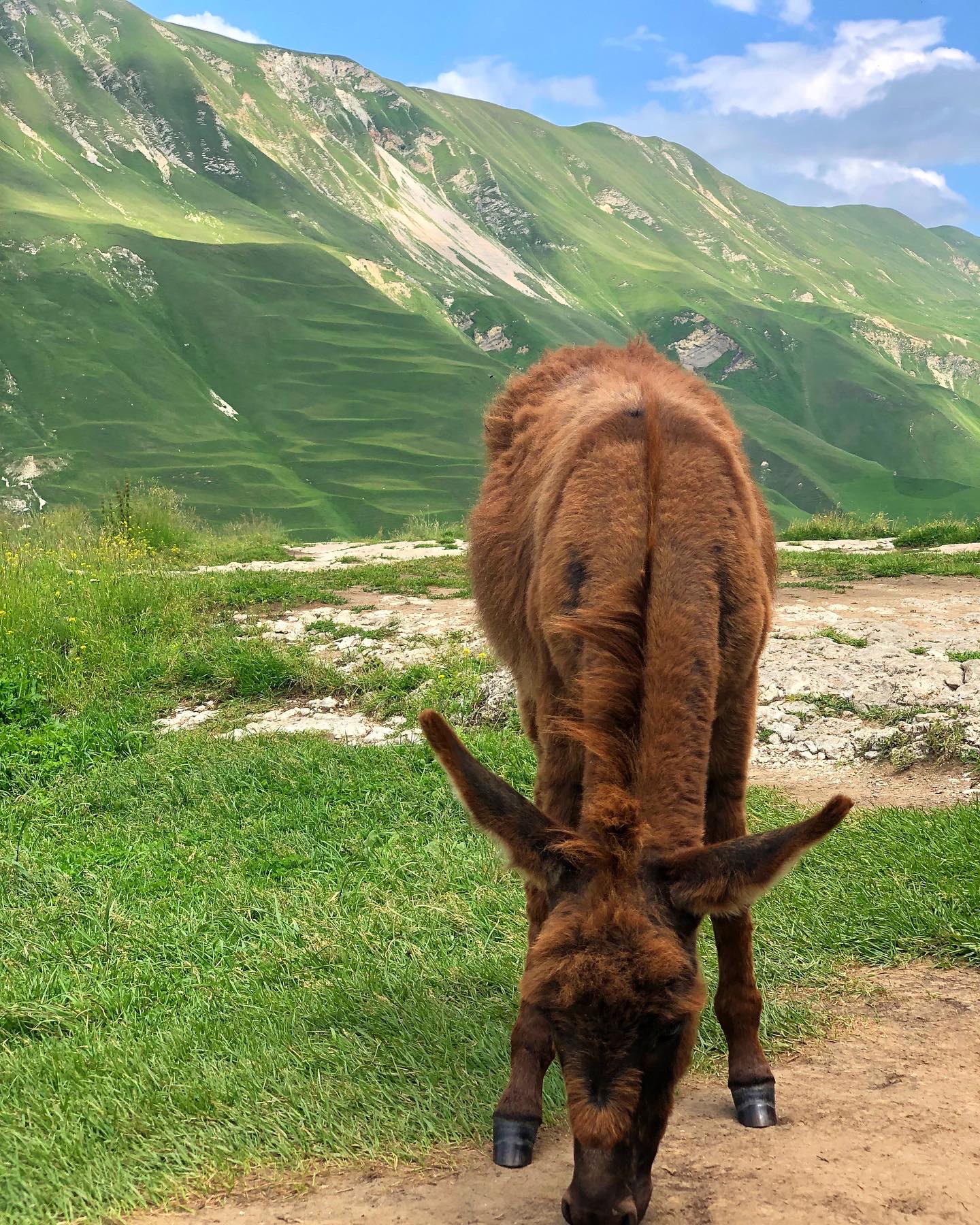 Насыщенный Дагестанский колорит за 5 дней со Звездой Гастротур Дагестан! (9/18)