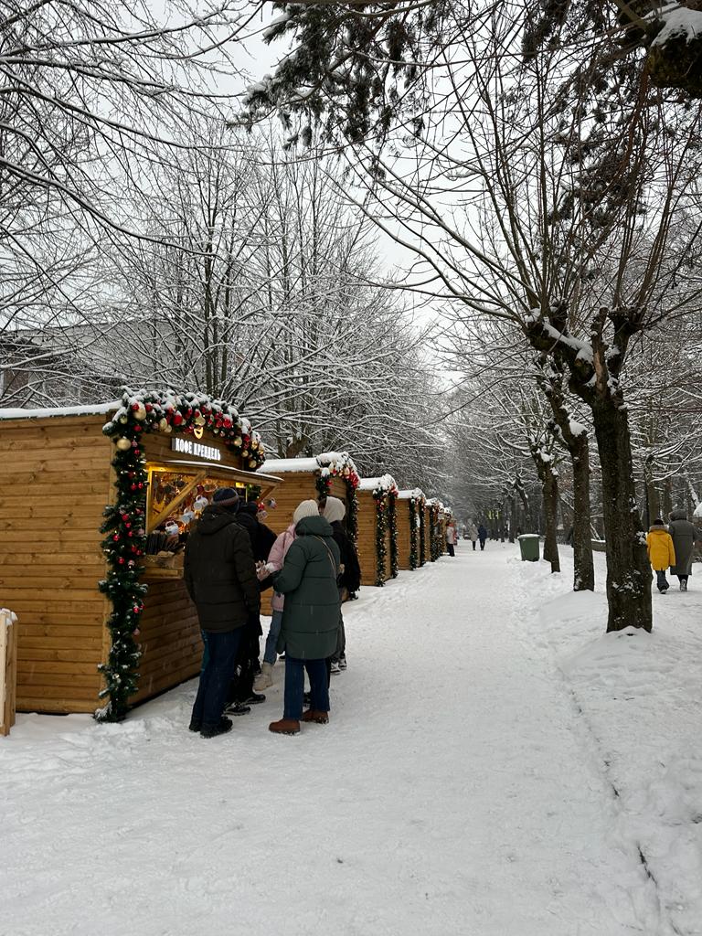 Новогодний Калининград с детьми (9/34)