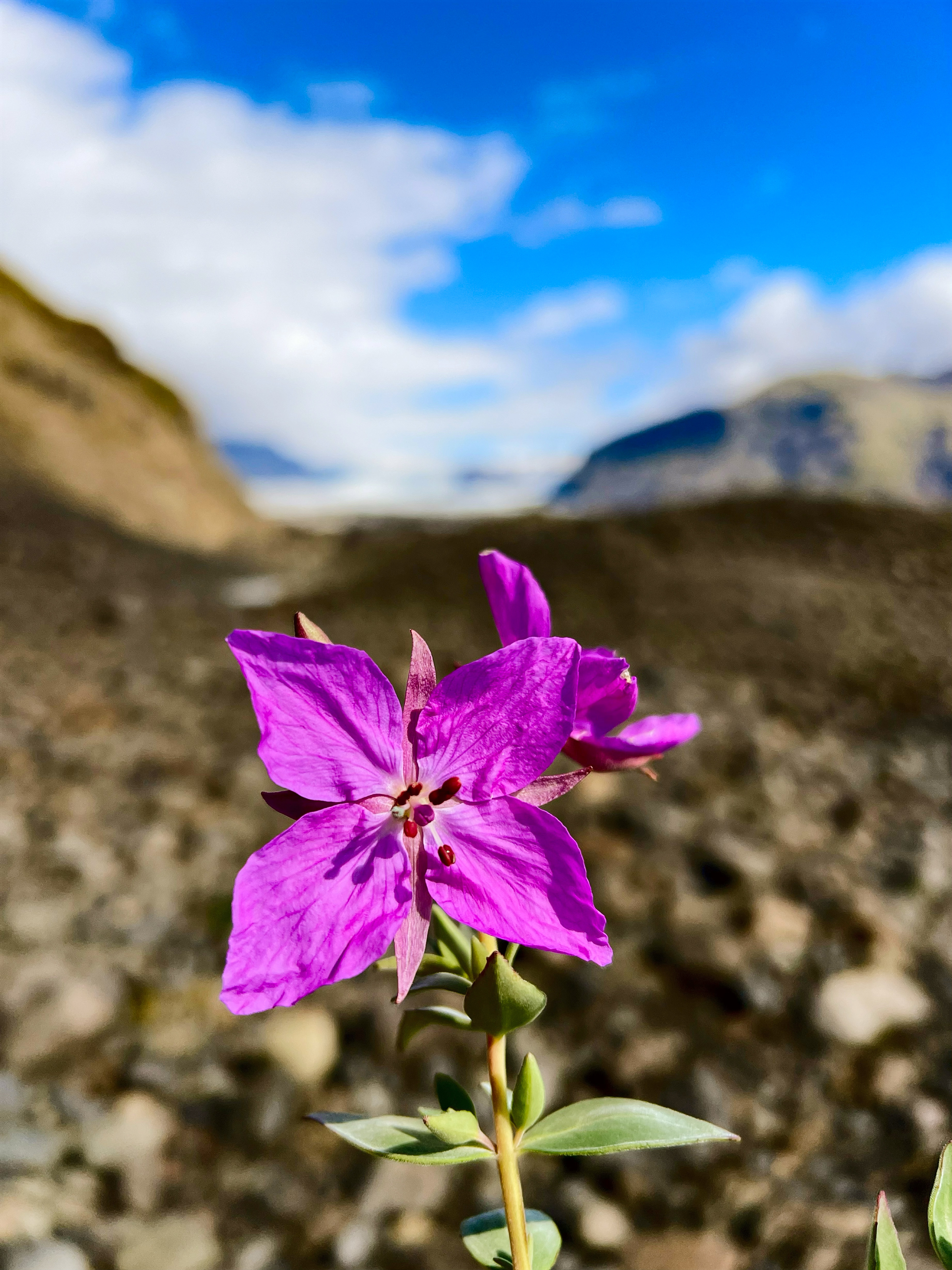 Исландия: страна льда и пламени (6/36)