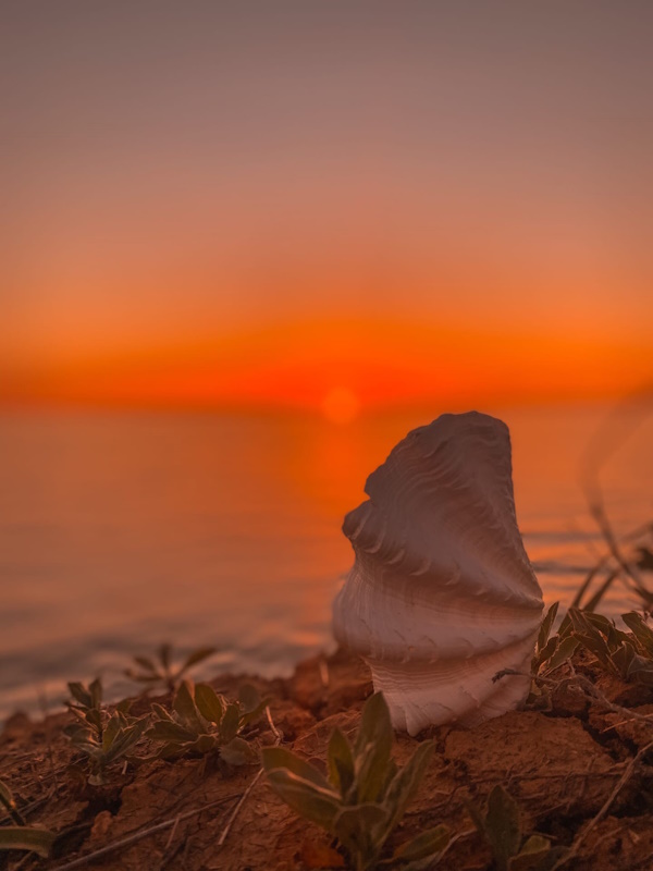 Бархатный сезон в Алуште. 7 дней. Все включено! (6/29)