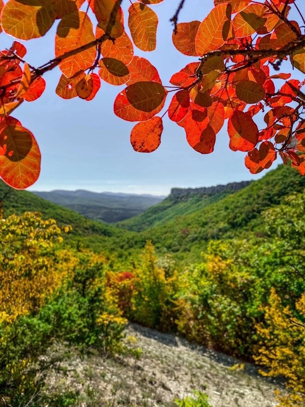 Бархатный сезон в Алуште. 7 дней. Все включено! (3/29)