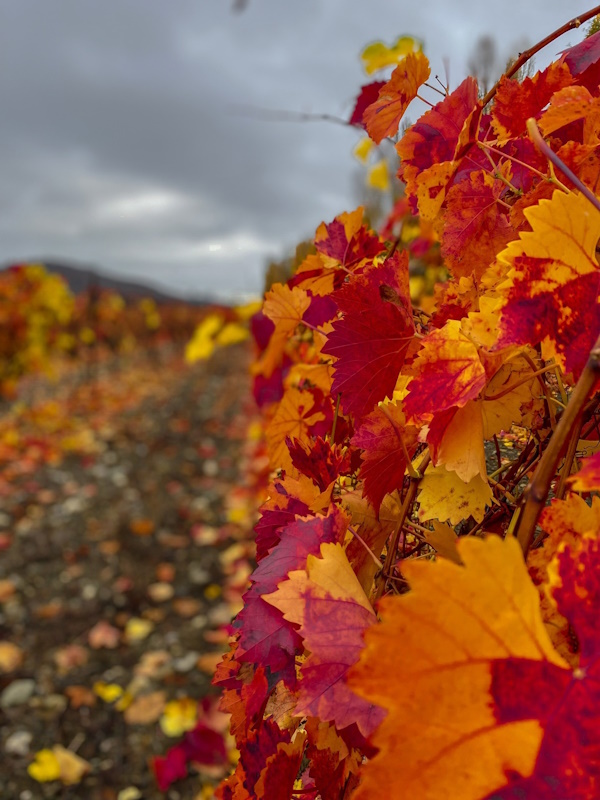 Бархатный сезон в Алуште. 7 дней. Все включено! (5/29)