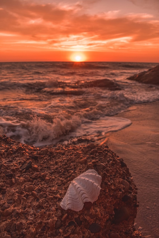 Бархатный сезон в Алуште. 7 дней. Все включено! (8/29)