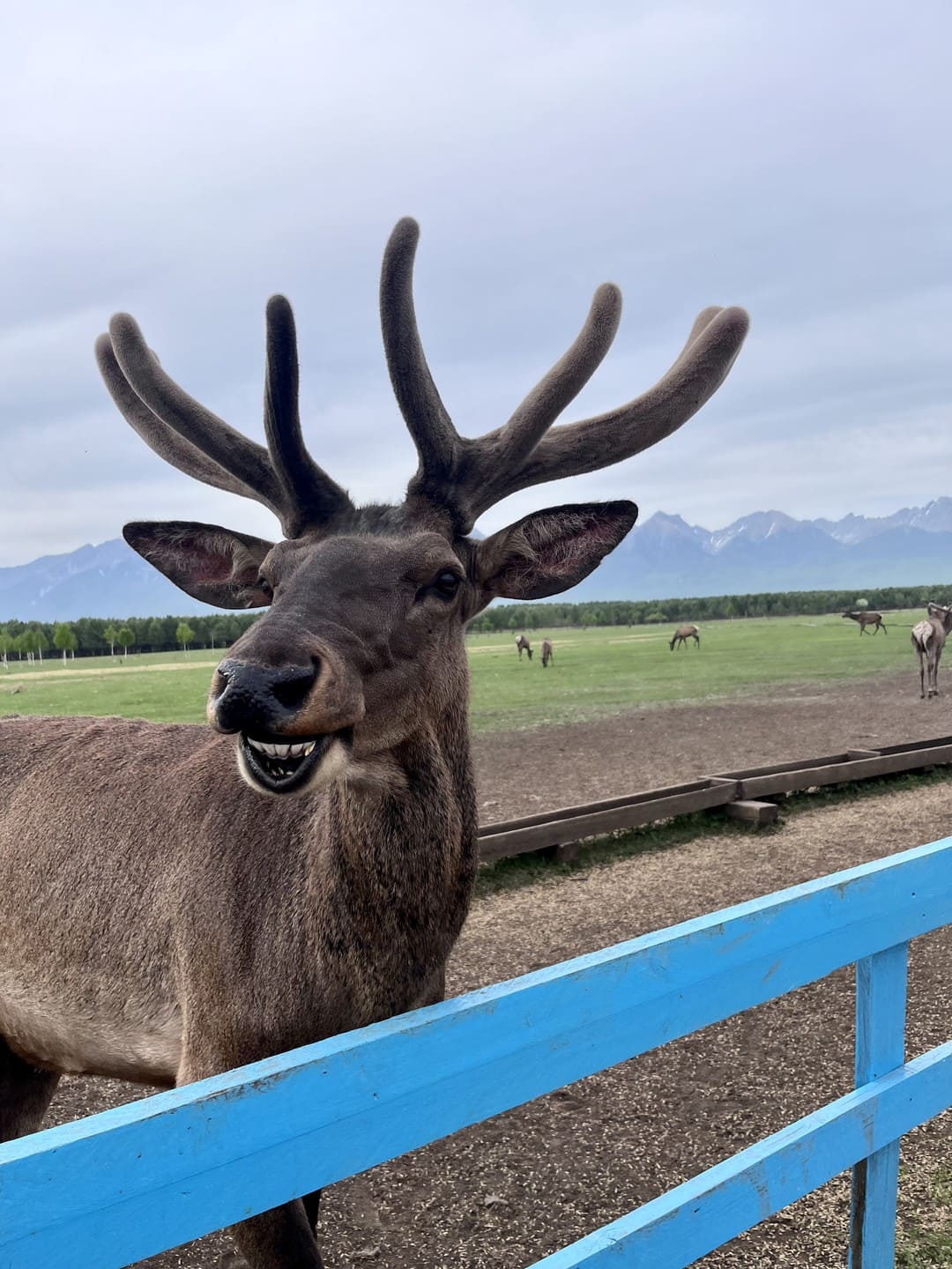 Байкальская кругосветка с проживанием на турбазе, Иркутская область (3/21)