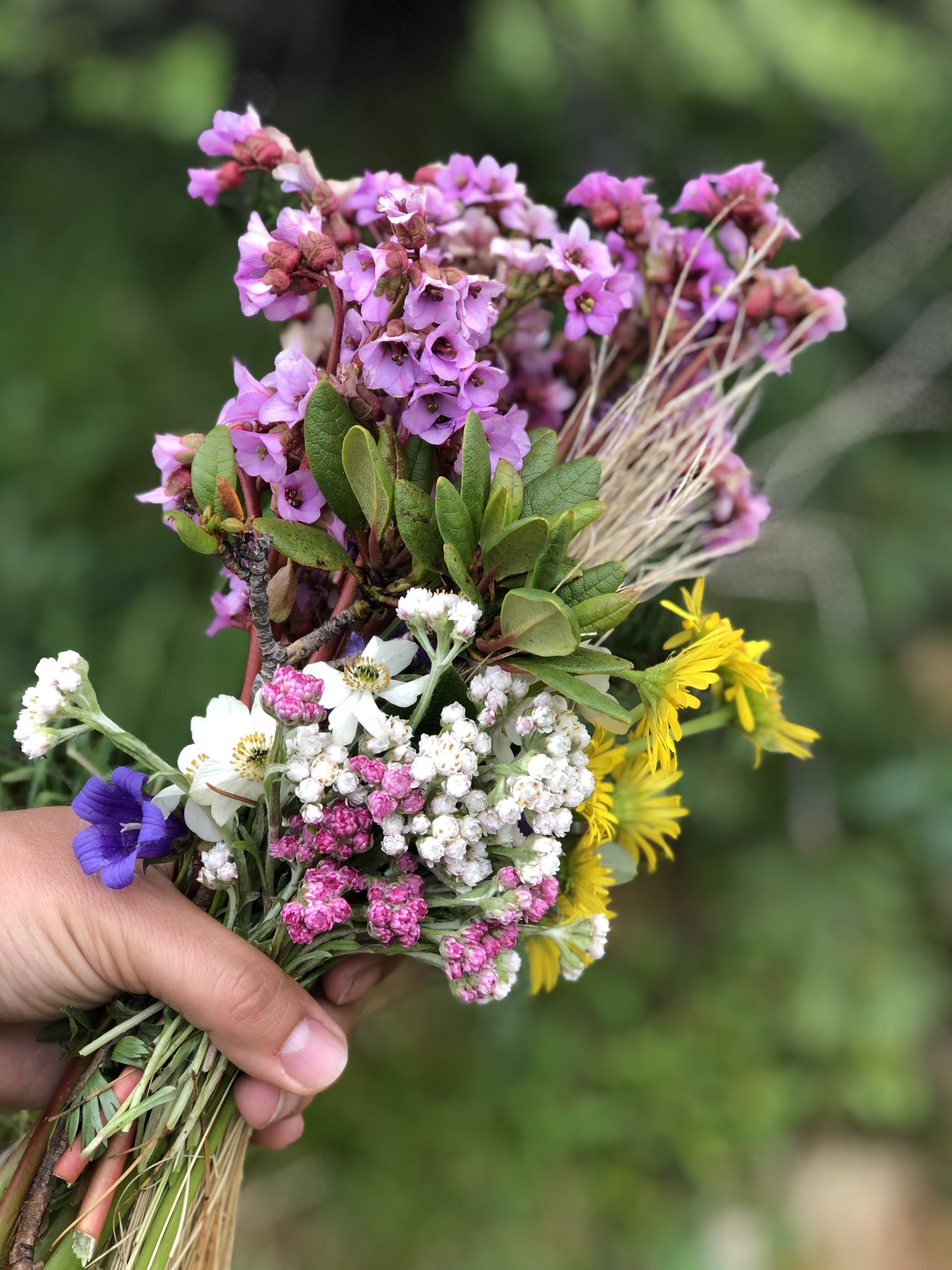 Байкальская кругосветка с проживанием на турбазе, Иркутская область (18/21)