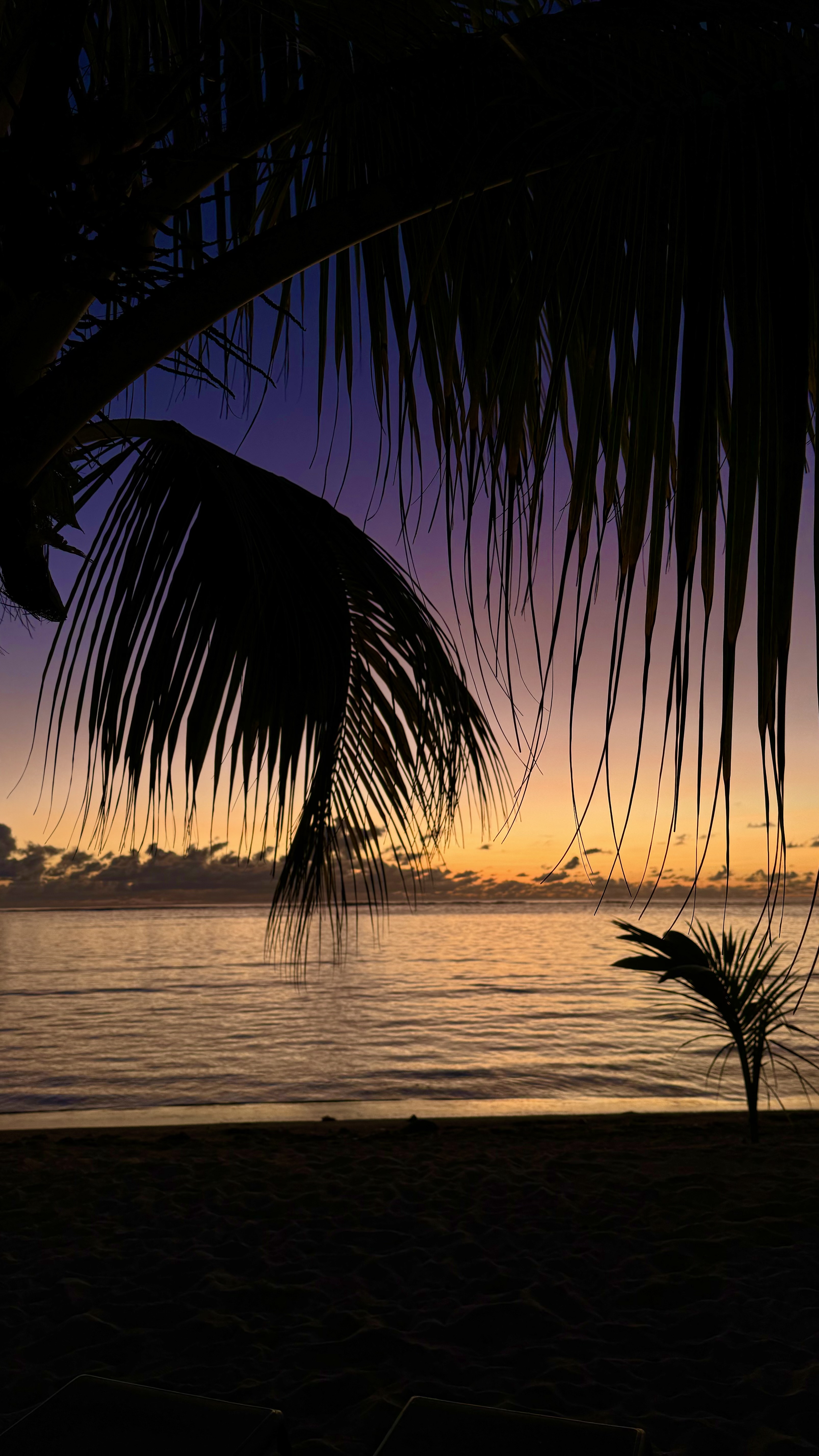 Сейшелы: Неделя в раю (9/19)