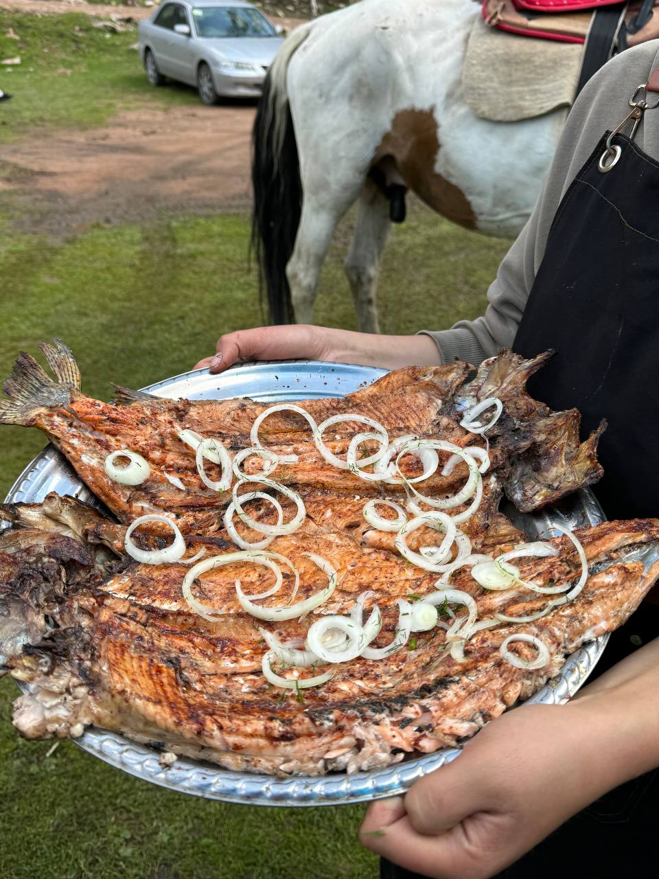 Джип-тур по Киргизии (5/38)