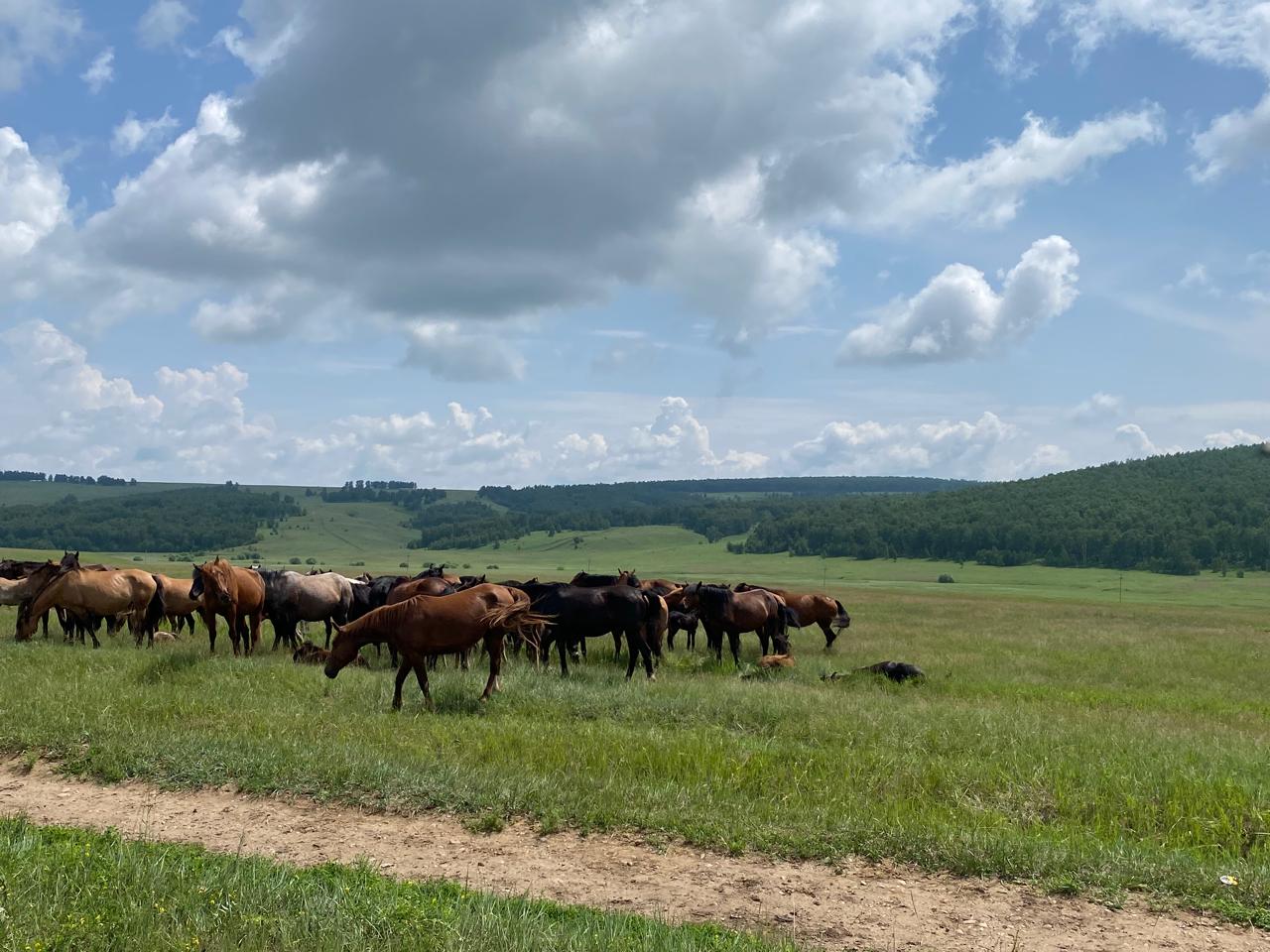 Летняя перезагрузка на Байкале (11/29)