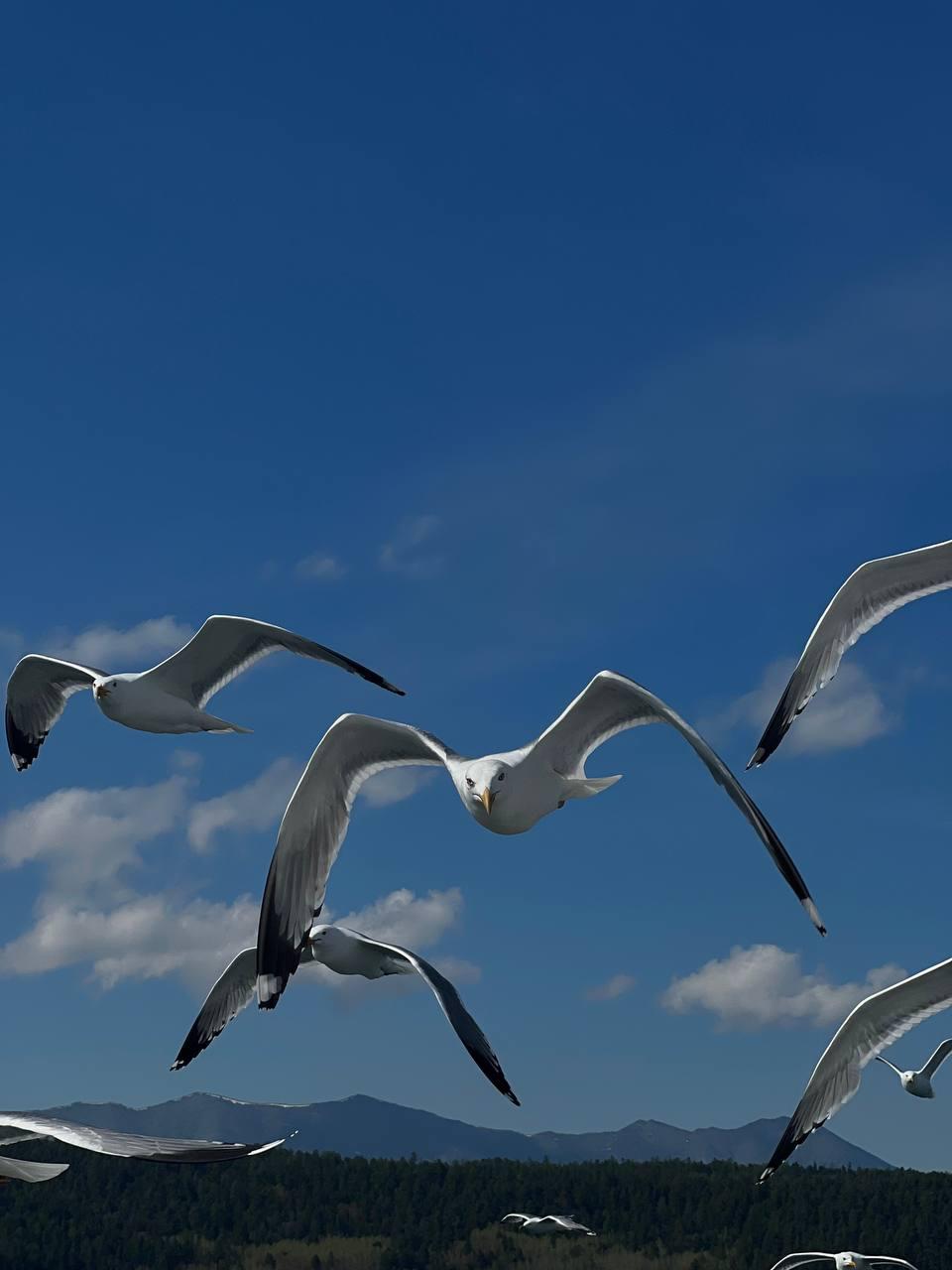 Летняя перезагрузка на Байкале (9/29)