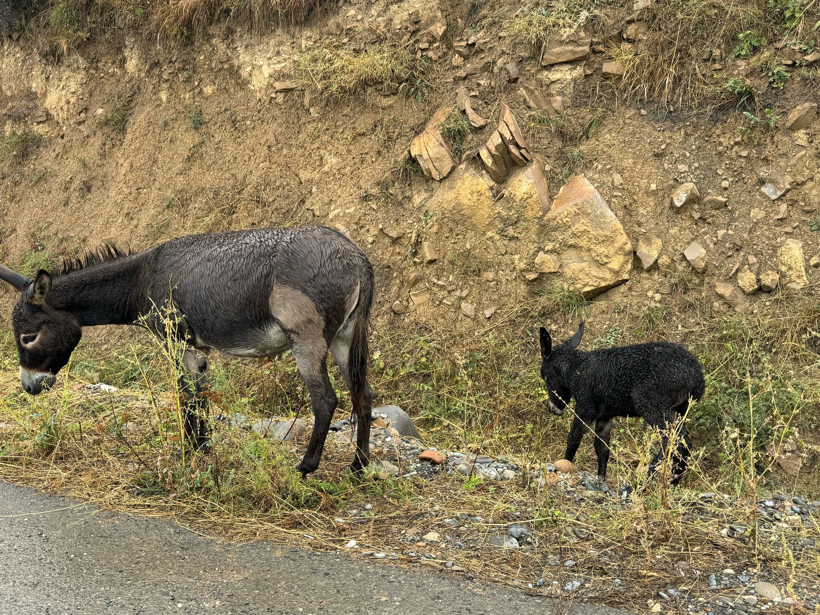 Аул призрак Гамсутль и водопад в пещере (12/21)