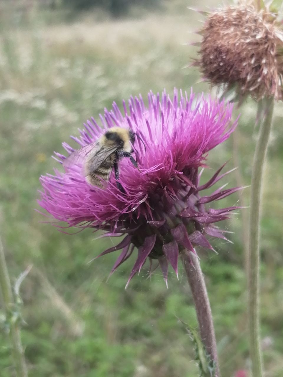 Летний учебный этно лагерь-практикум на Южном Урале (63/93)