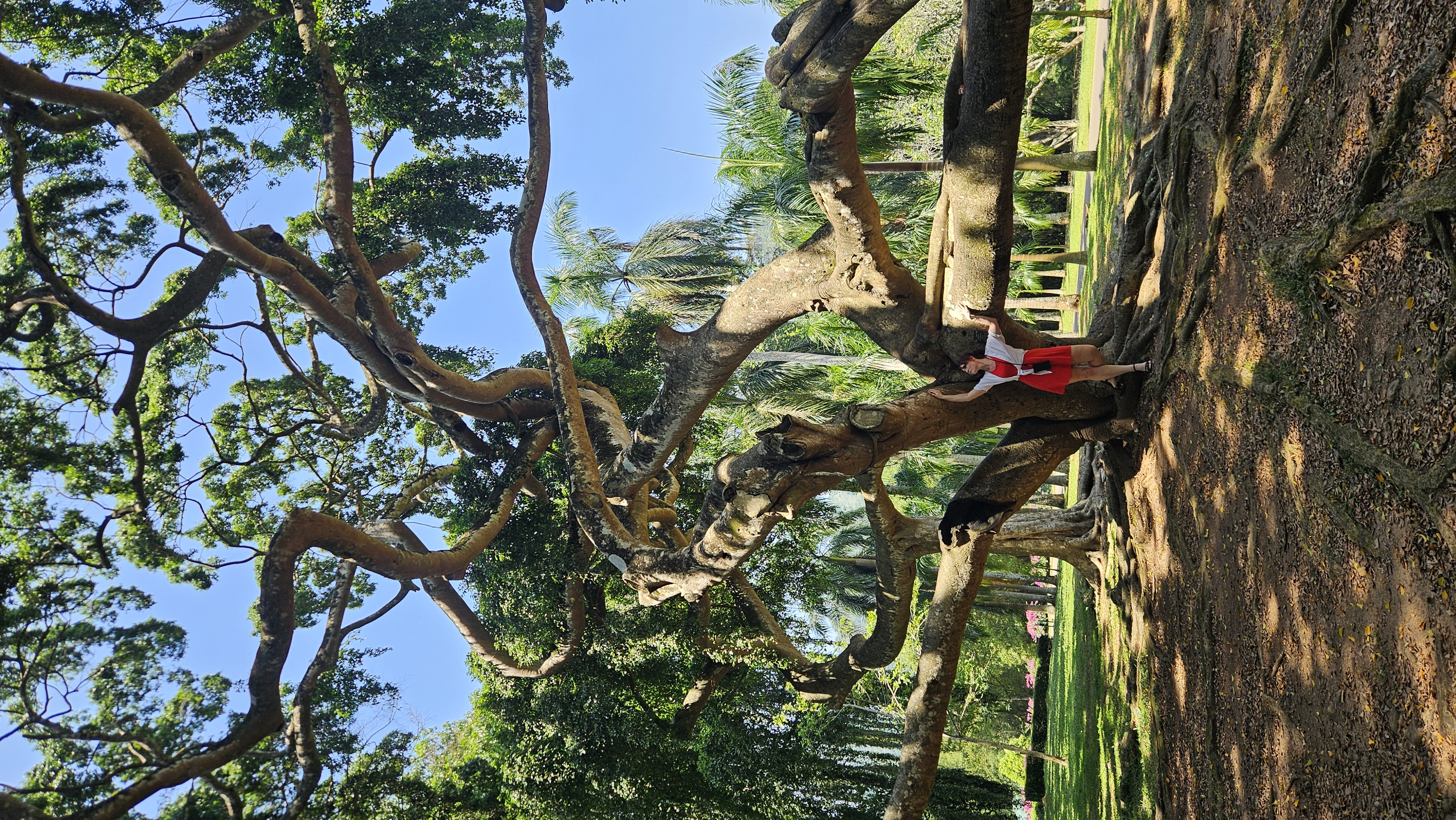 Сердце Острова