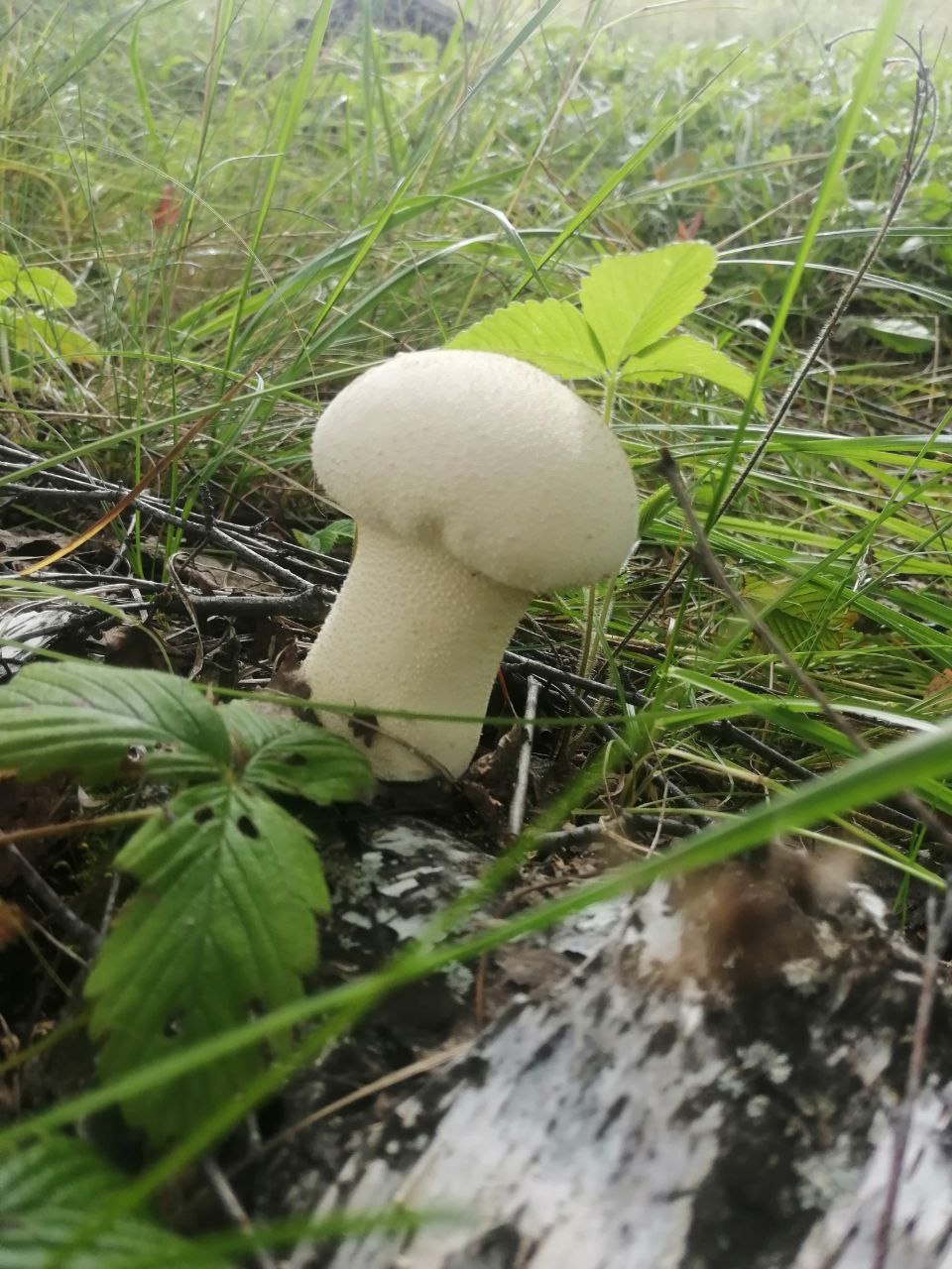 Летний учебный этно лагерь-практикум на Южном Урале (62/93)