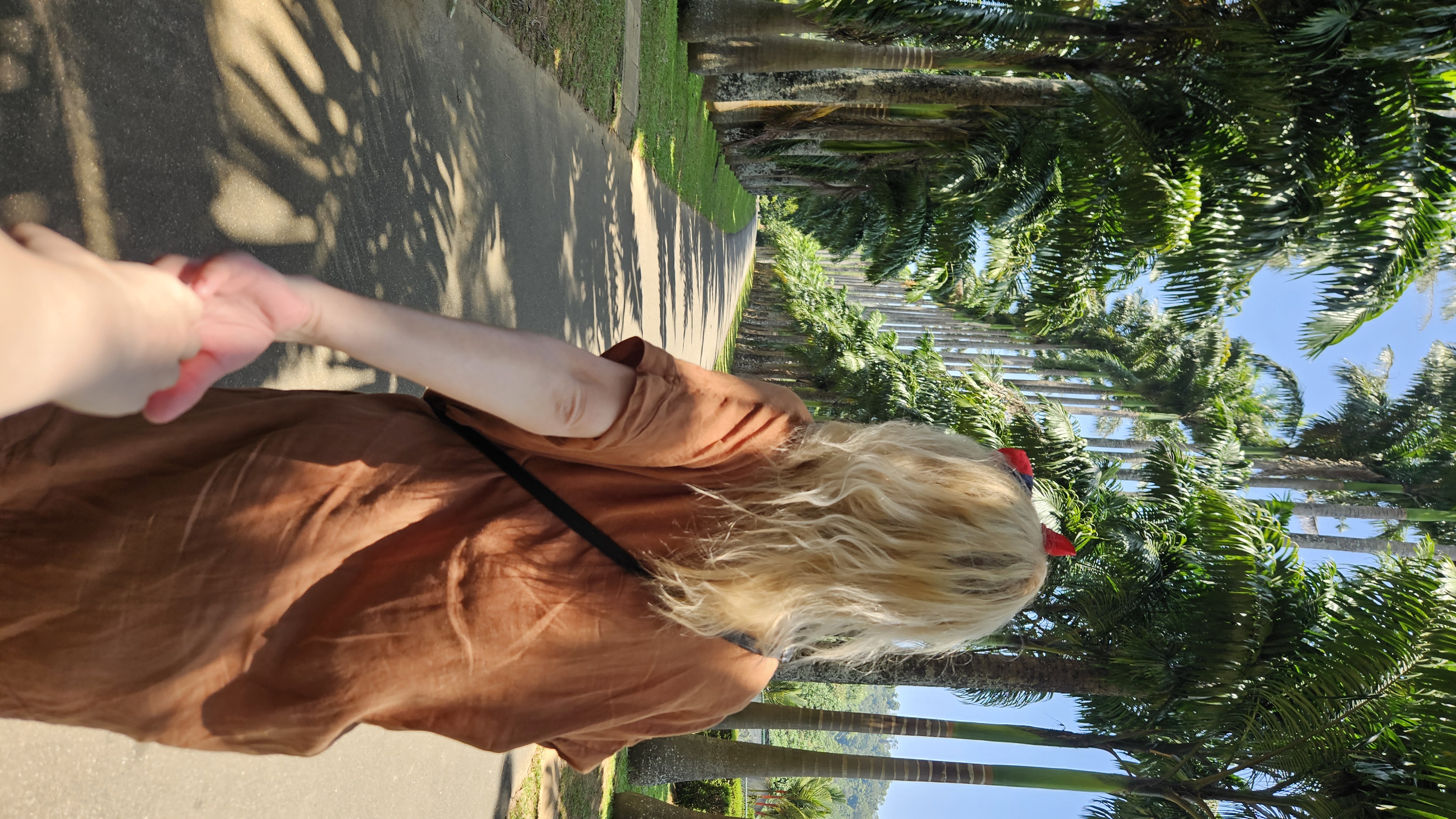 Снорклинг с акулами и 23 локации за 10 дней: максимум эмоций за 1 поездку (8/52)