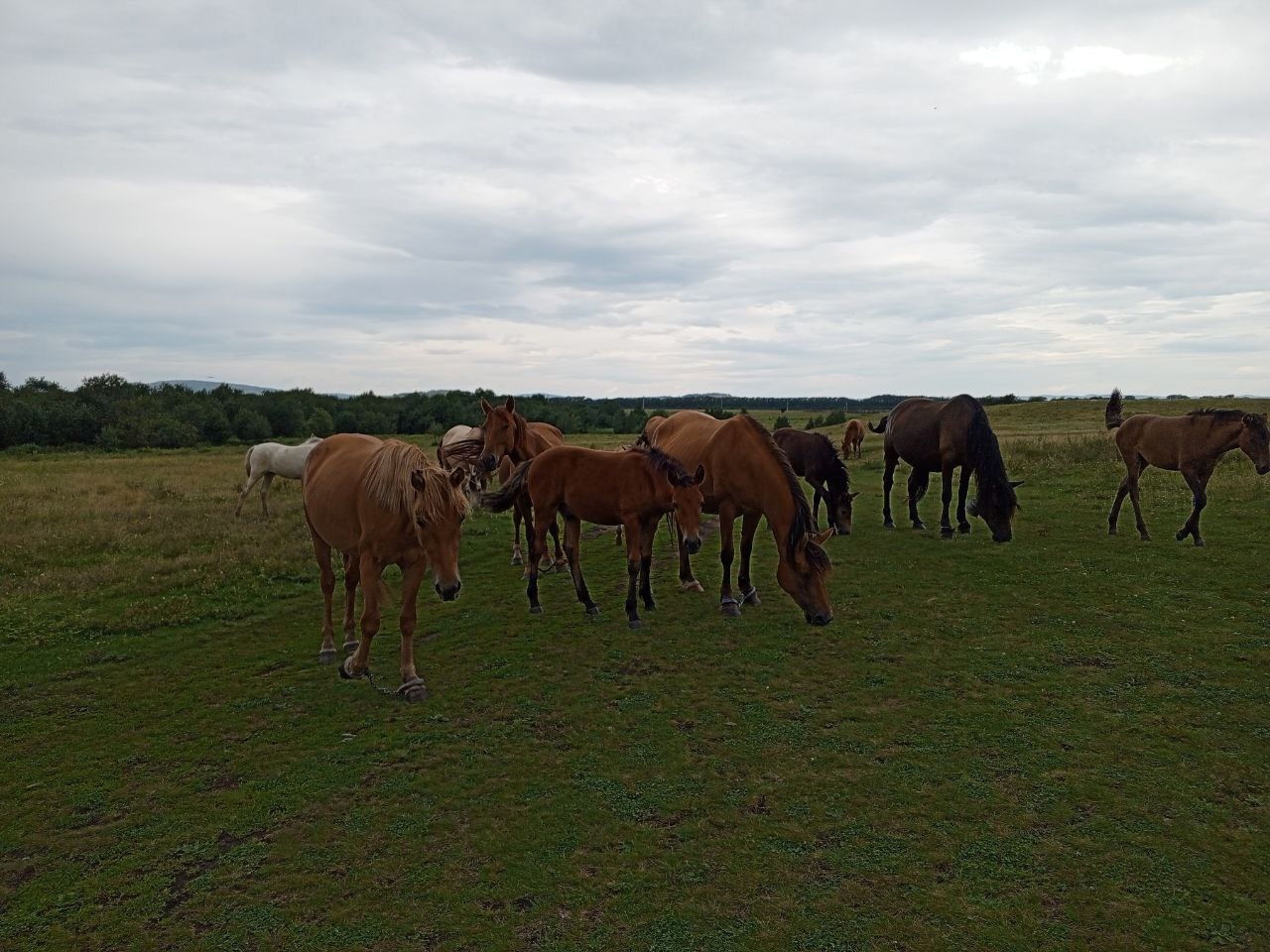 Летний учебный этно лагерь-практикум на Южном Урале (34/93)