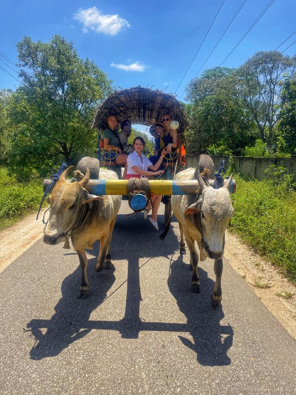 Погружение В Культуру