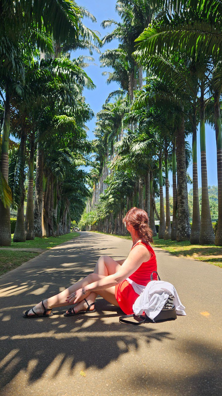 Сердце Острова