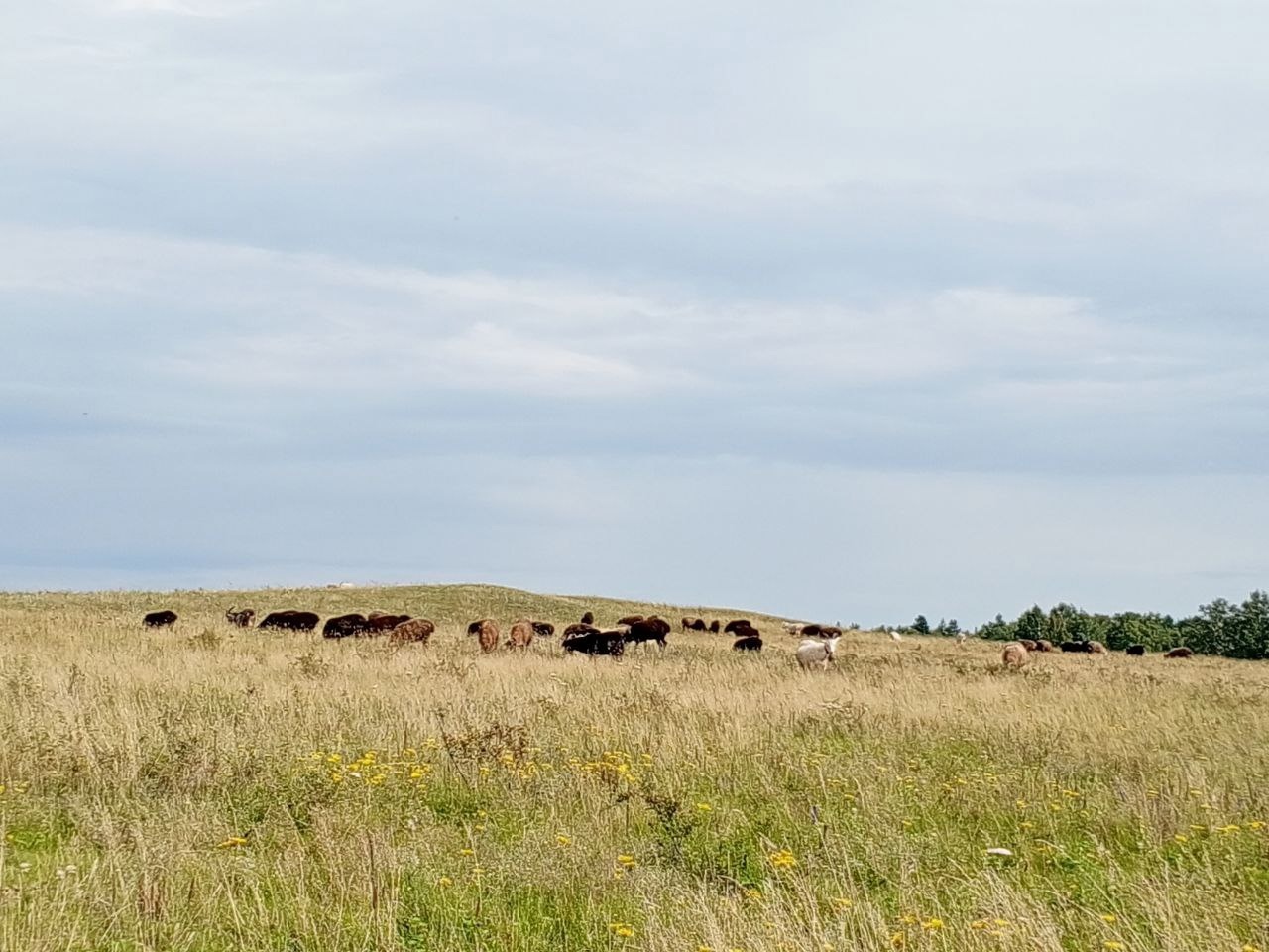 Летний учебный этно лагерь-практикум на Южном Урале (26/93)