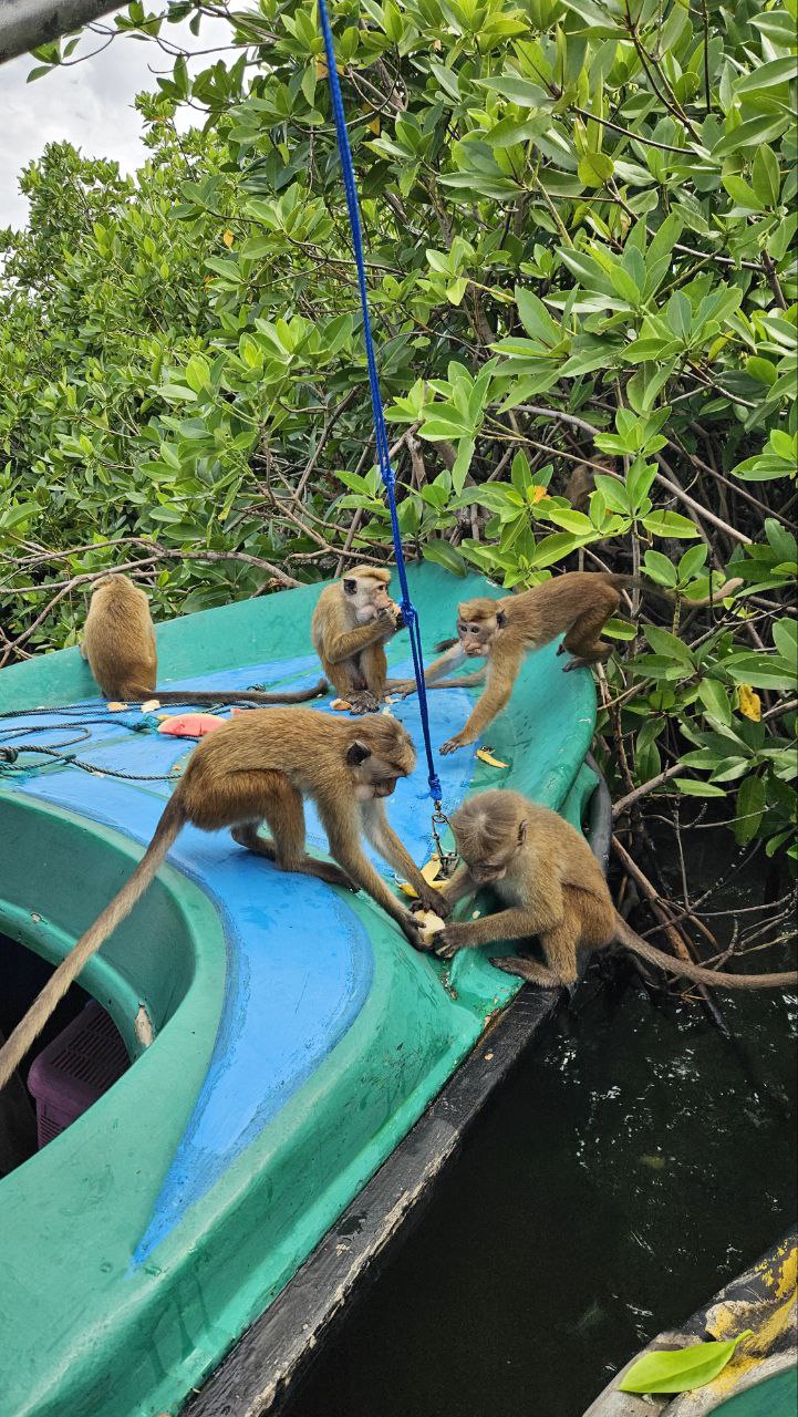 Встреча И Знакомство