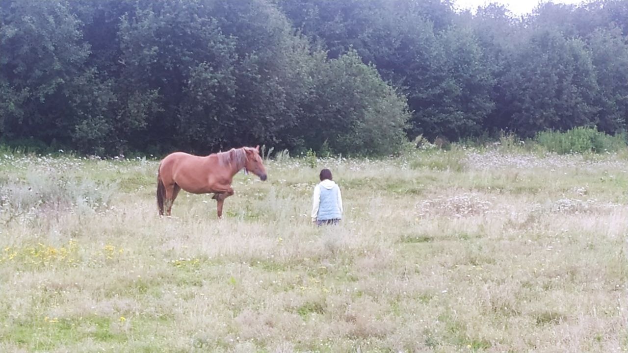 Летний учебный этно лагерь-практикум на Южном Урале (65/93)