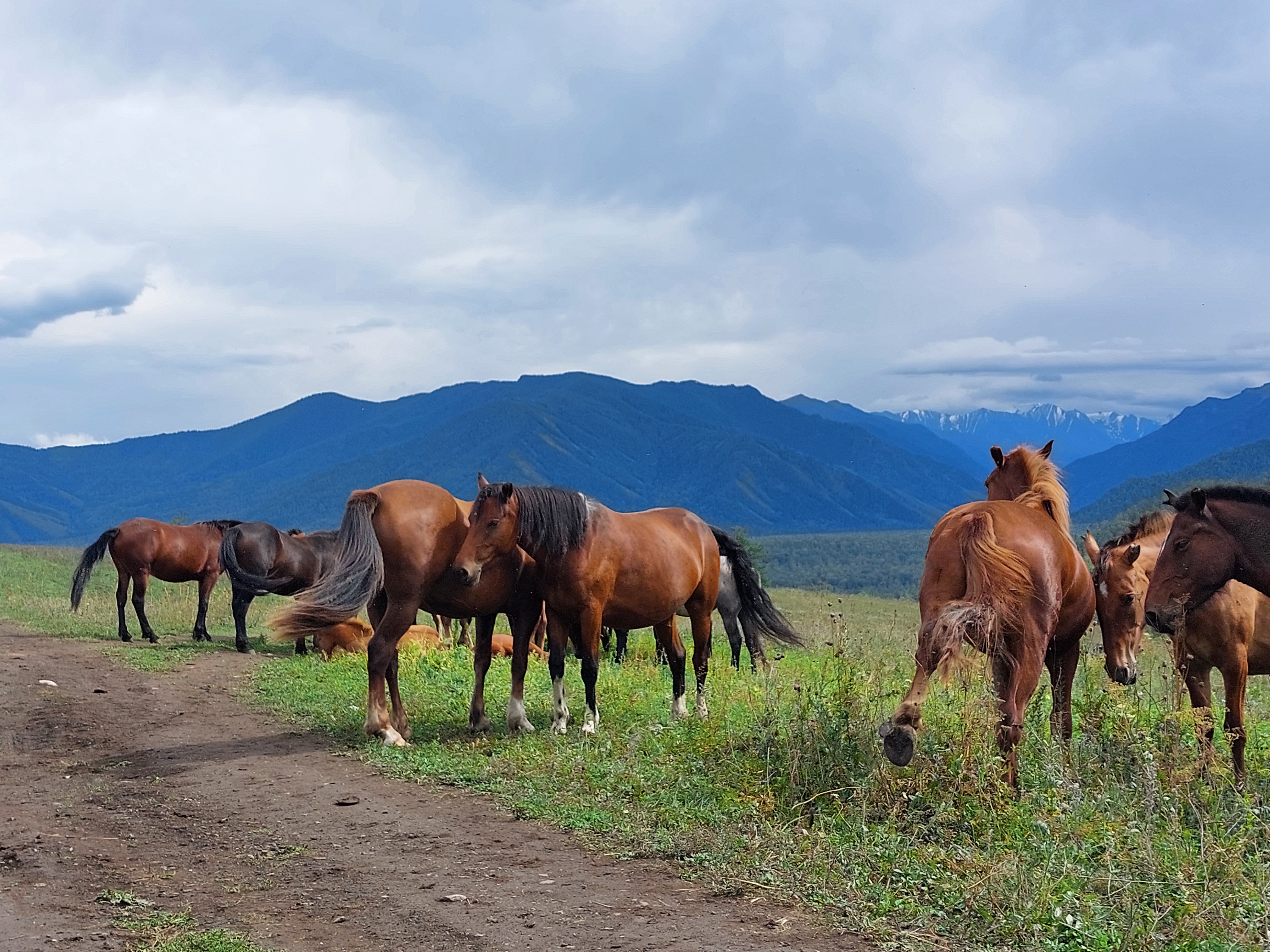 Мультинские озера или озера Красной горы. (16/30)