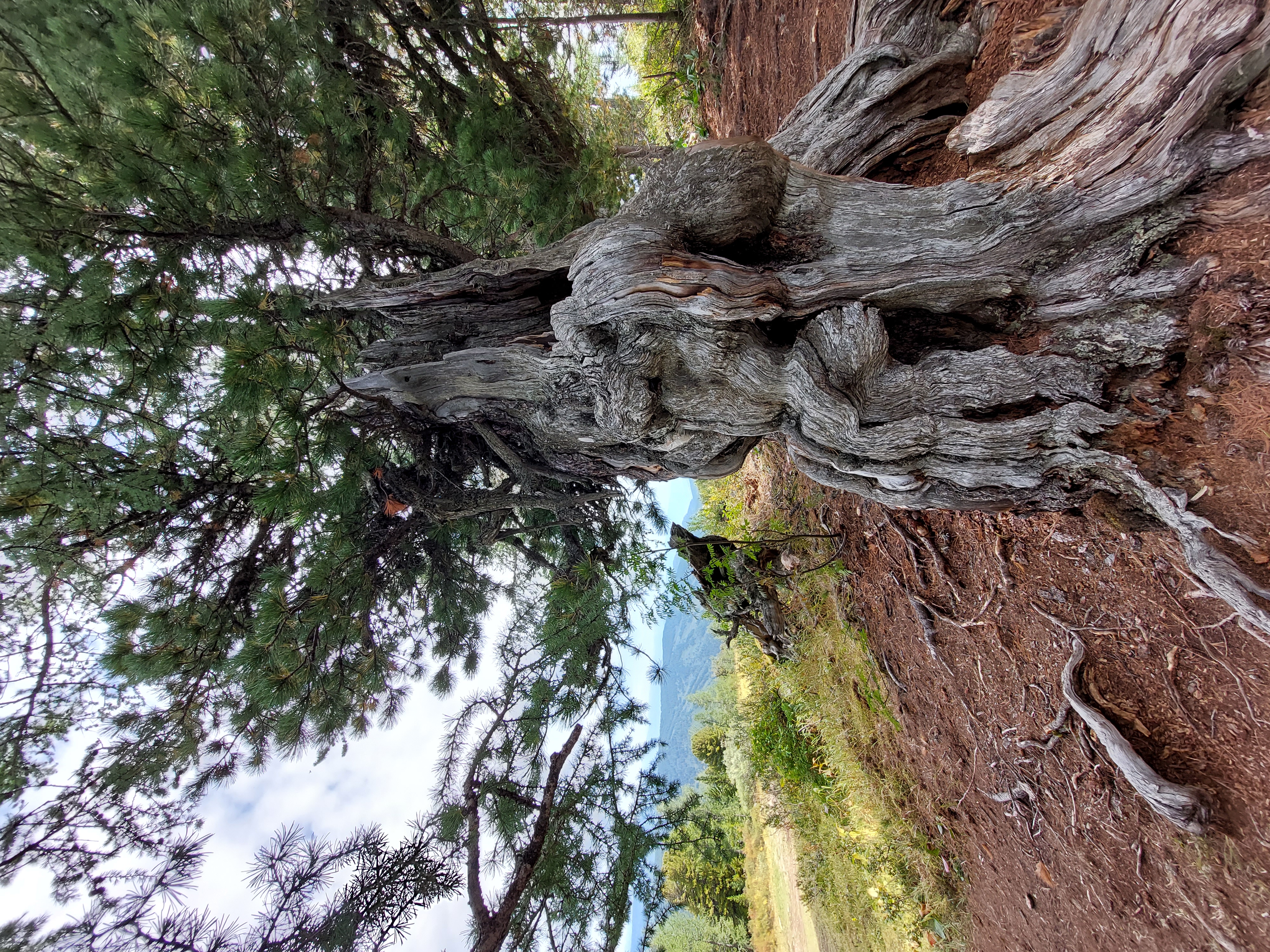 Мультинские озера или озера Красной горы. (7/30)