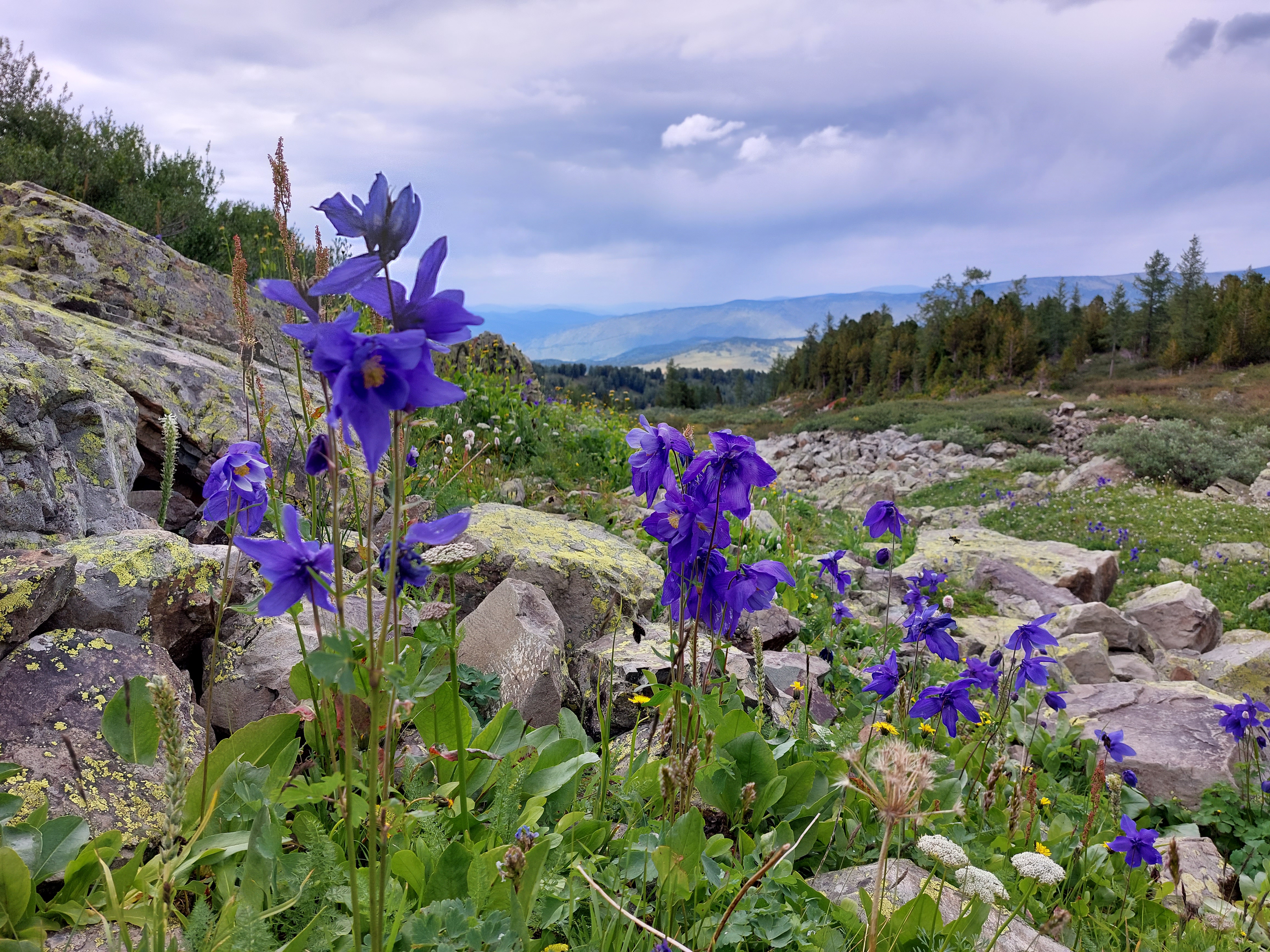 Мультинские озера или озера Красной горы. (11/30)