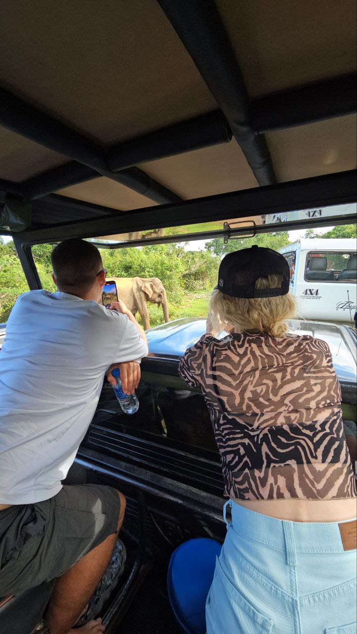 В Поисках Леопарда