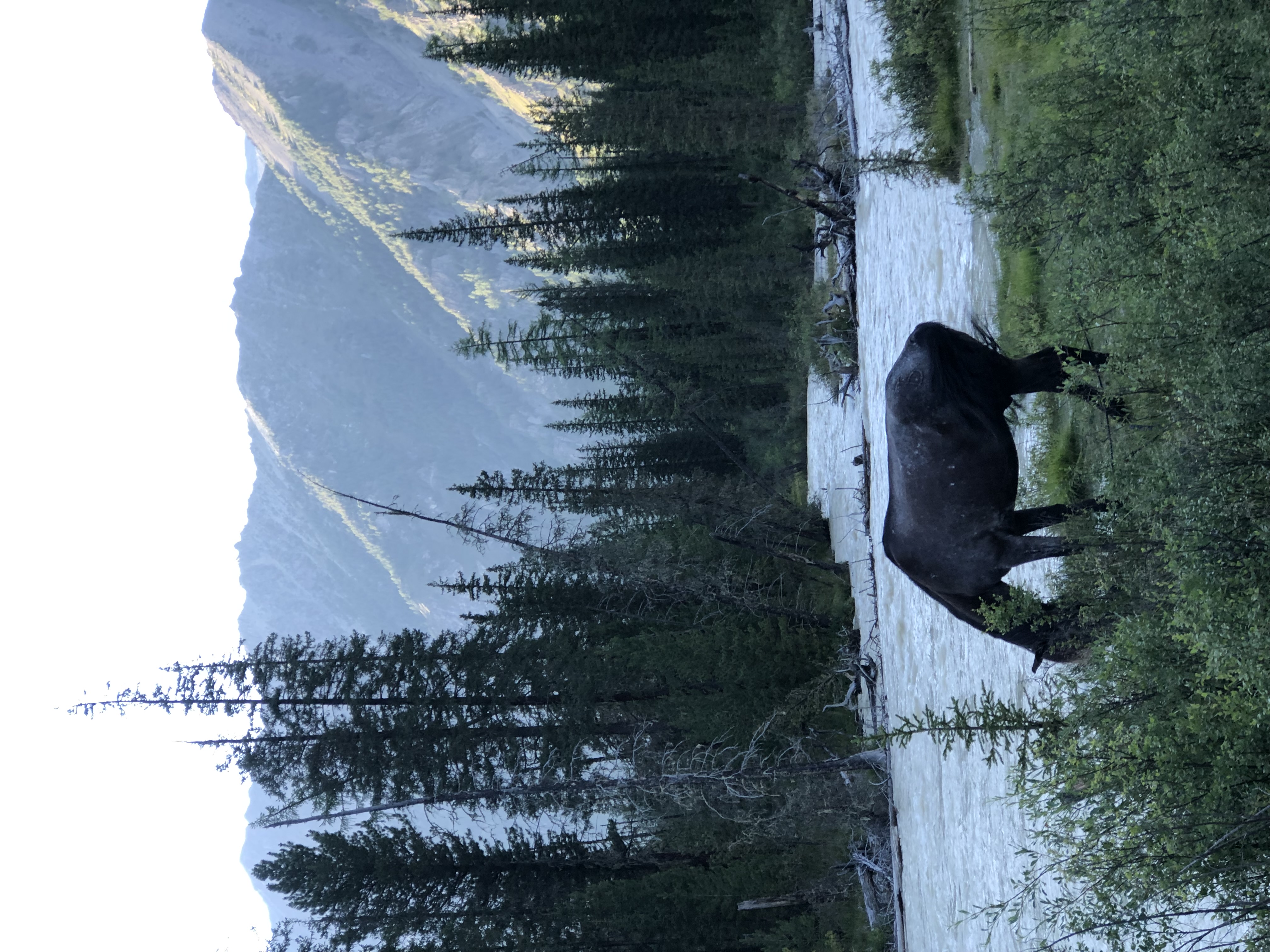 Шавлинские озера (2/7)