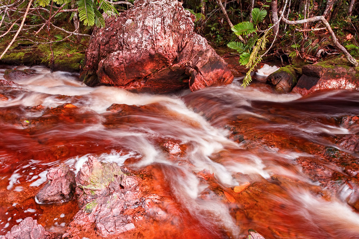Рорайма - восхождение в затерянный мир. Венесуэла (10/22)