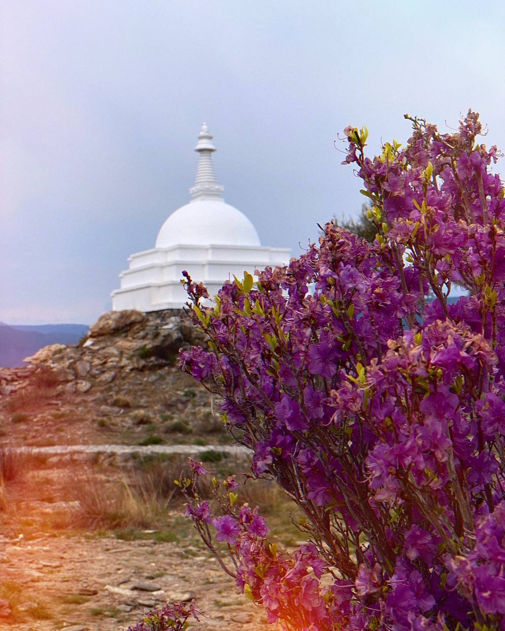 Комфорт-тур. Вся красота Байкала