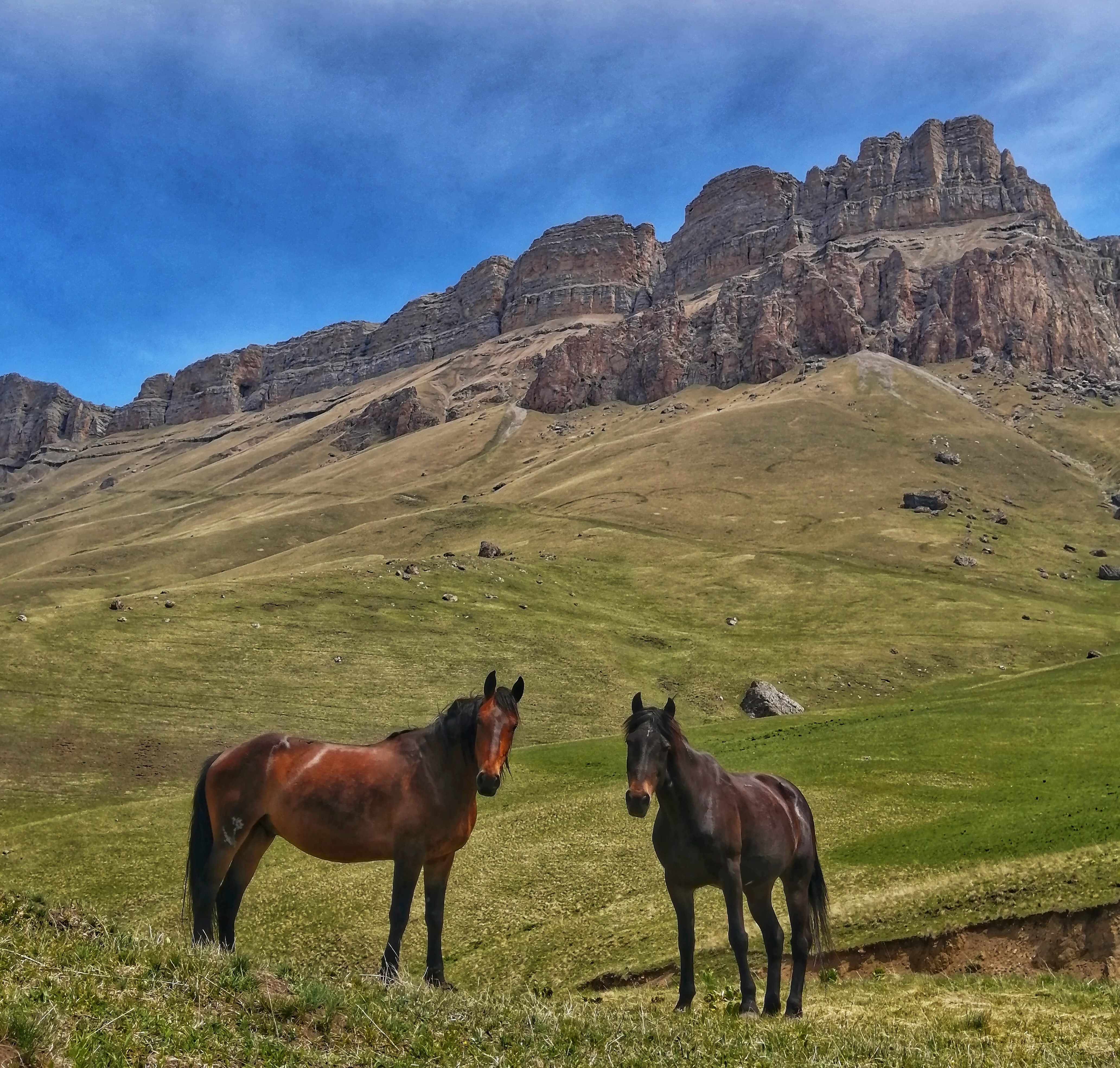 Озеро Гижгит, перевал Актопрак и Чегемские водопады (7/8)