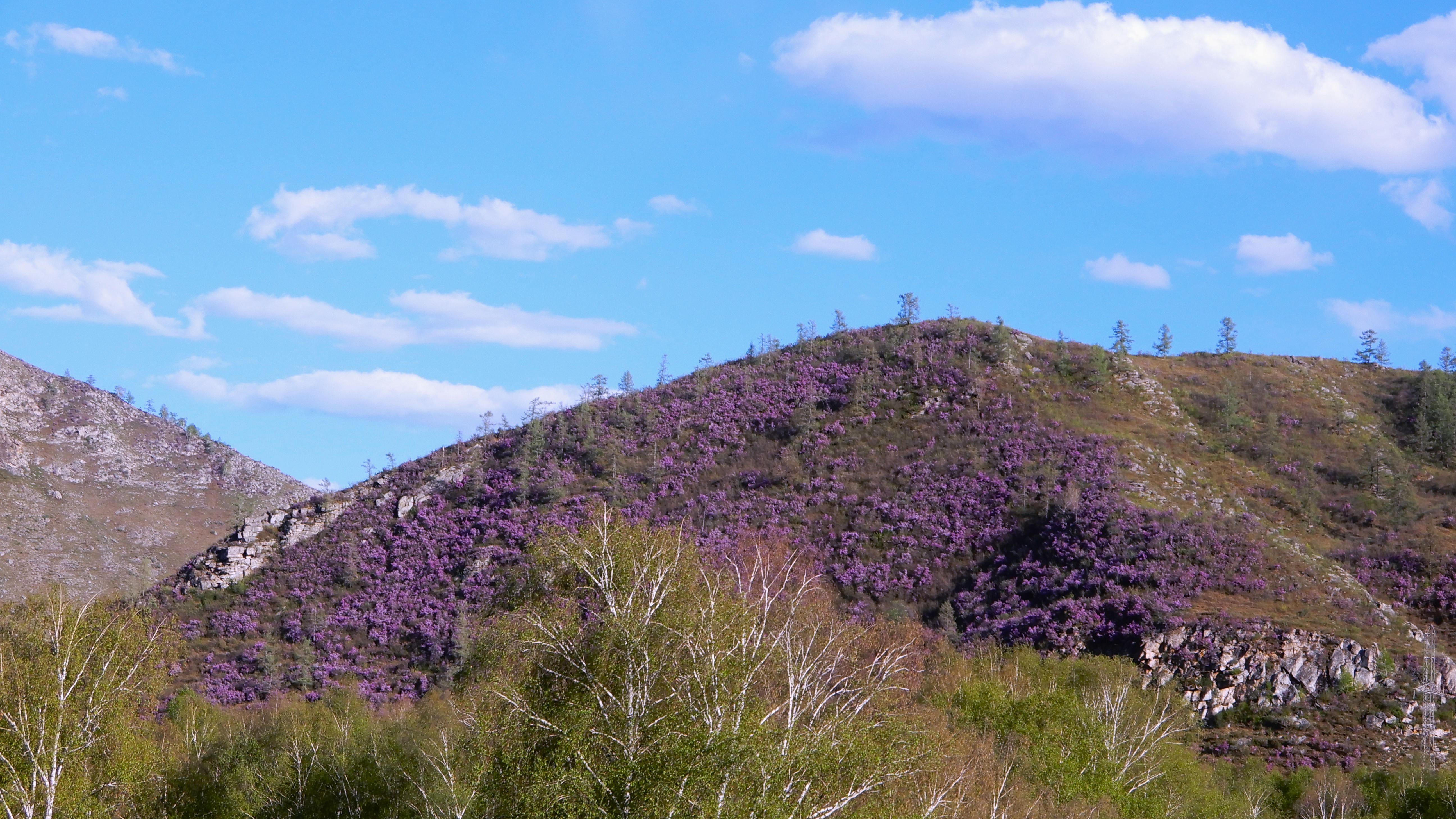 Весенний Алтай (3/15)