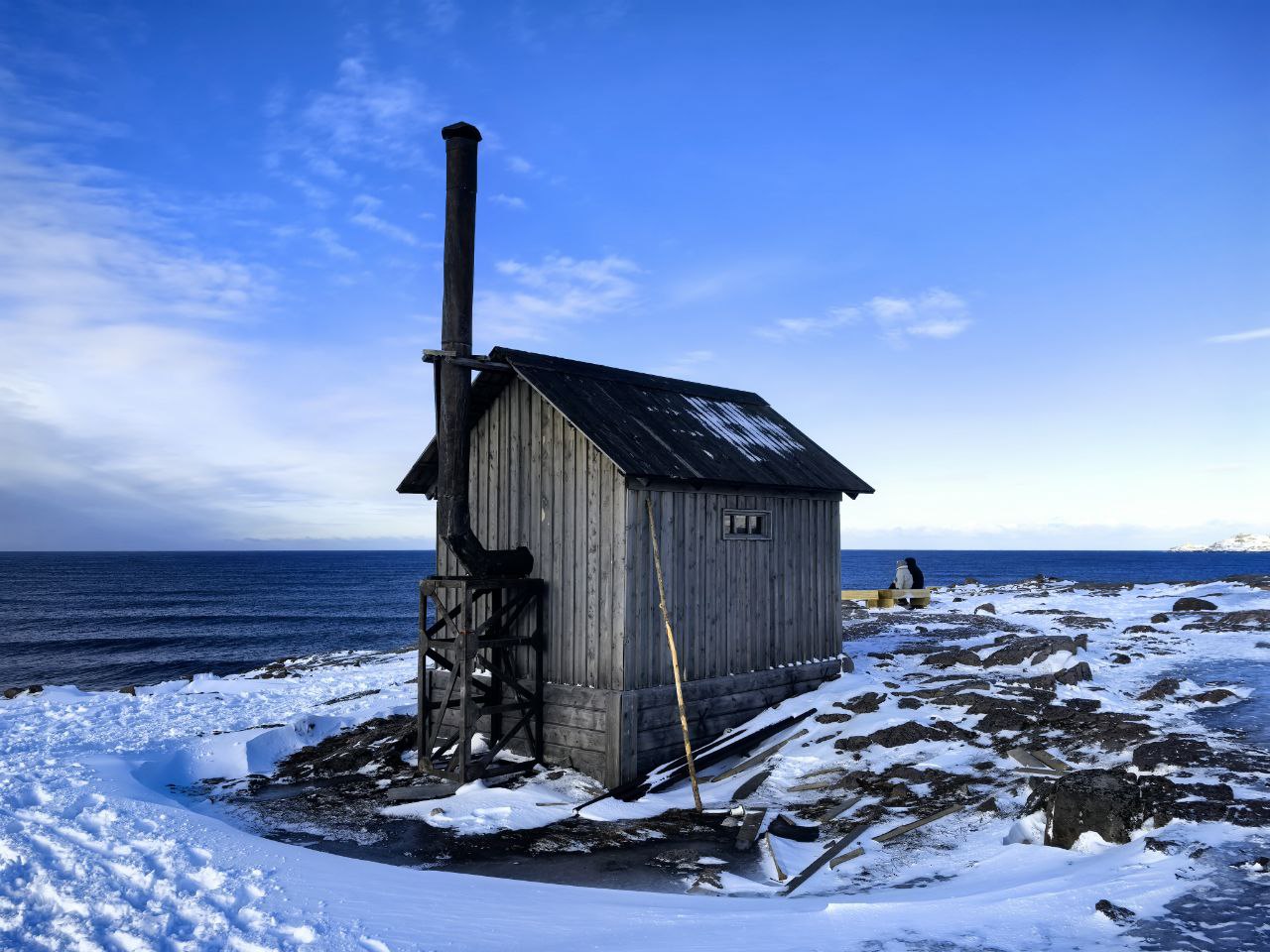Большая экскурсия в Териберку. (9/9)