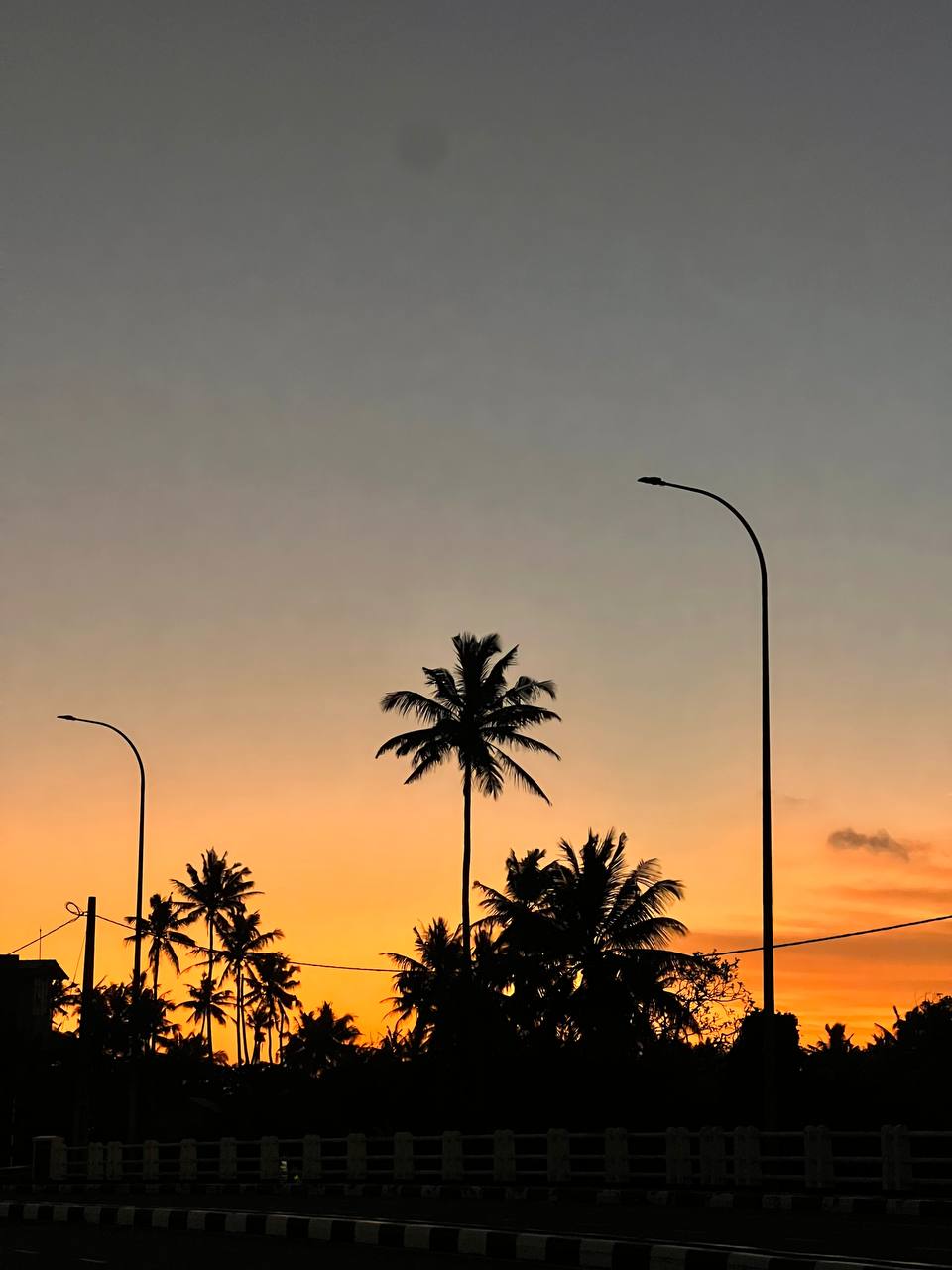 Шри-Ланка как в кино. Только ты в главной роли (20/68)