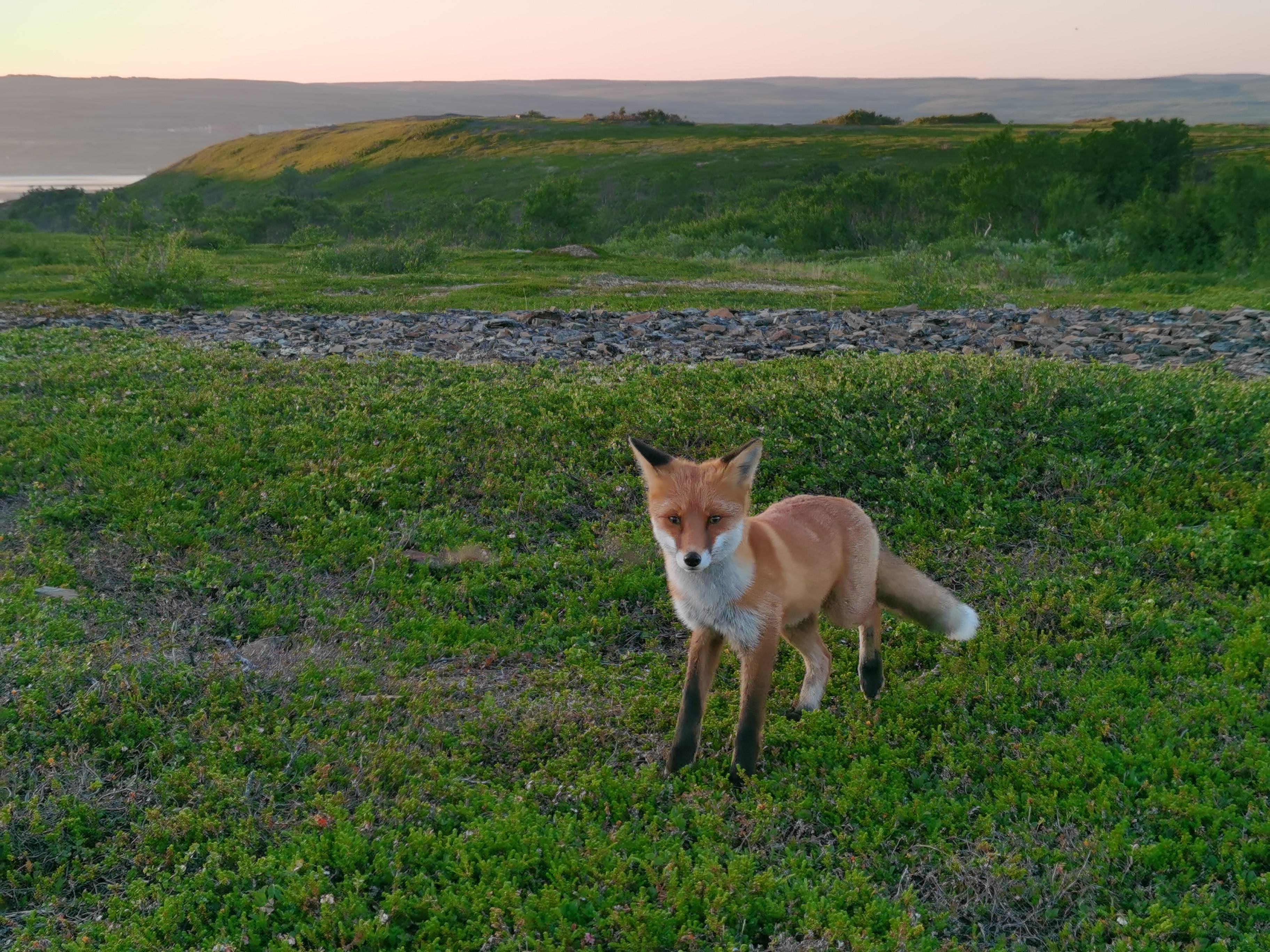 Полуостров Рыбачий с комфортом (4 дня) (16/29)
