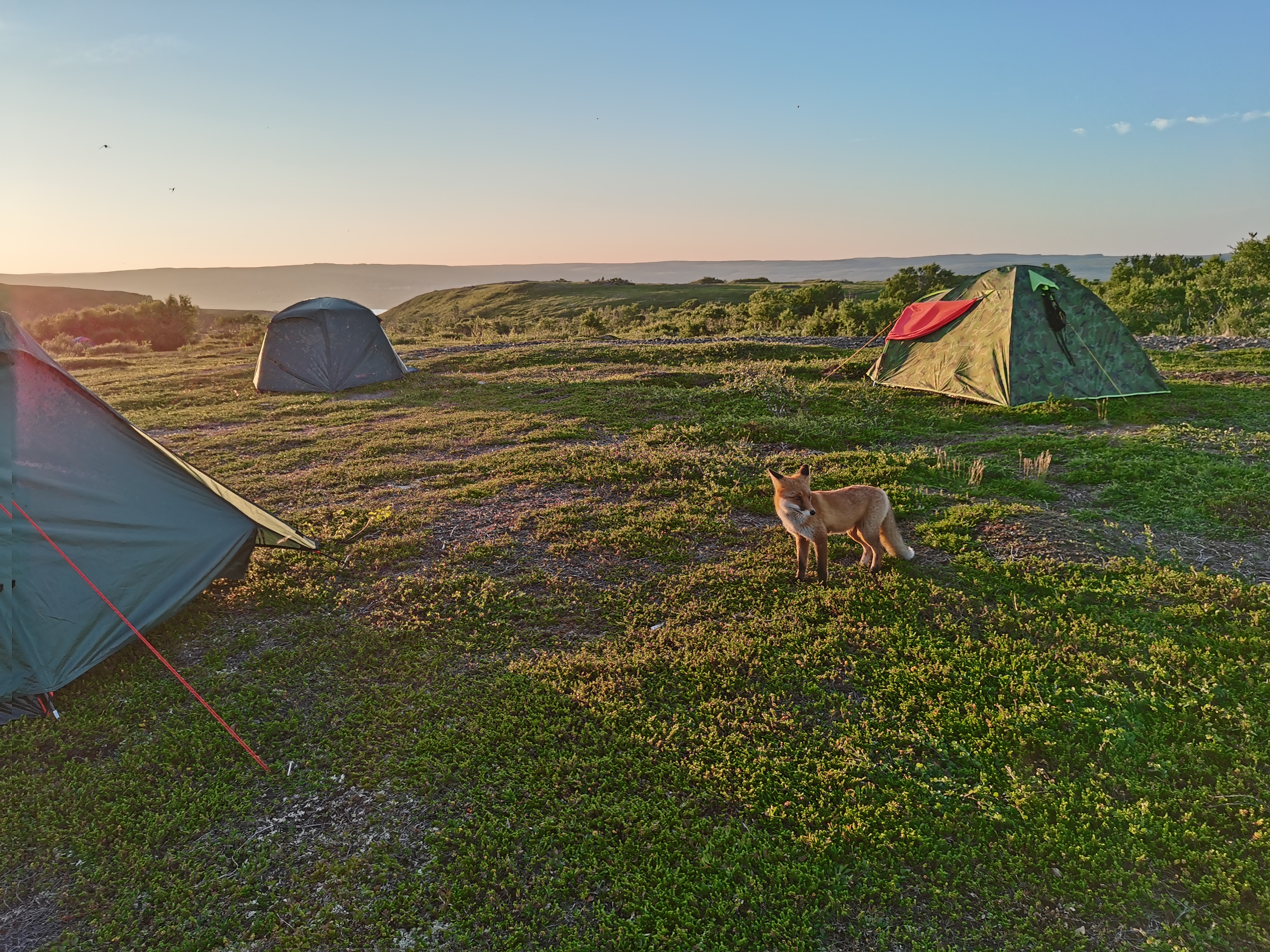 Полуостров Рыбачий и Средний (5 дней) (26/41)