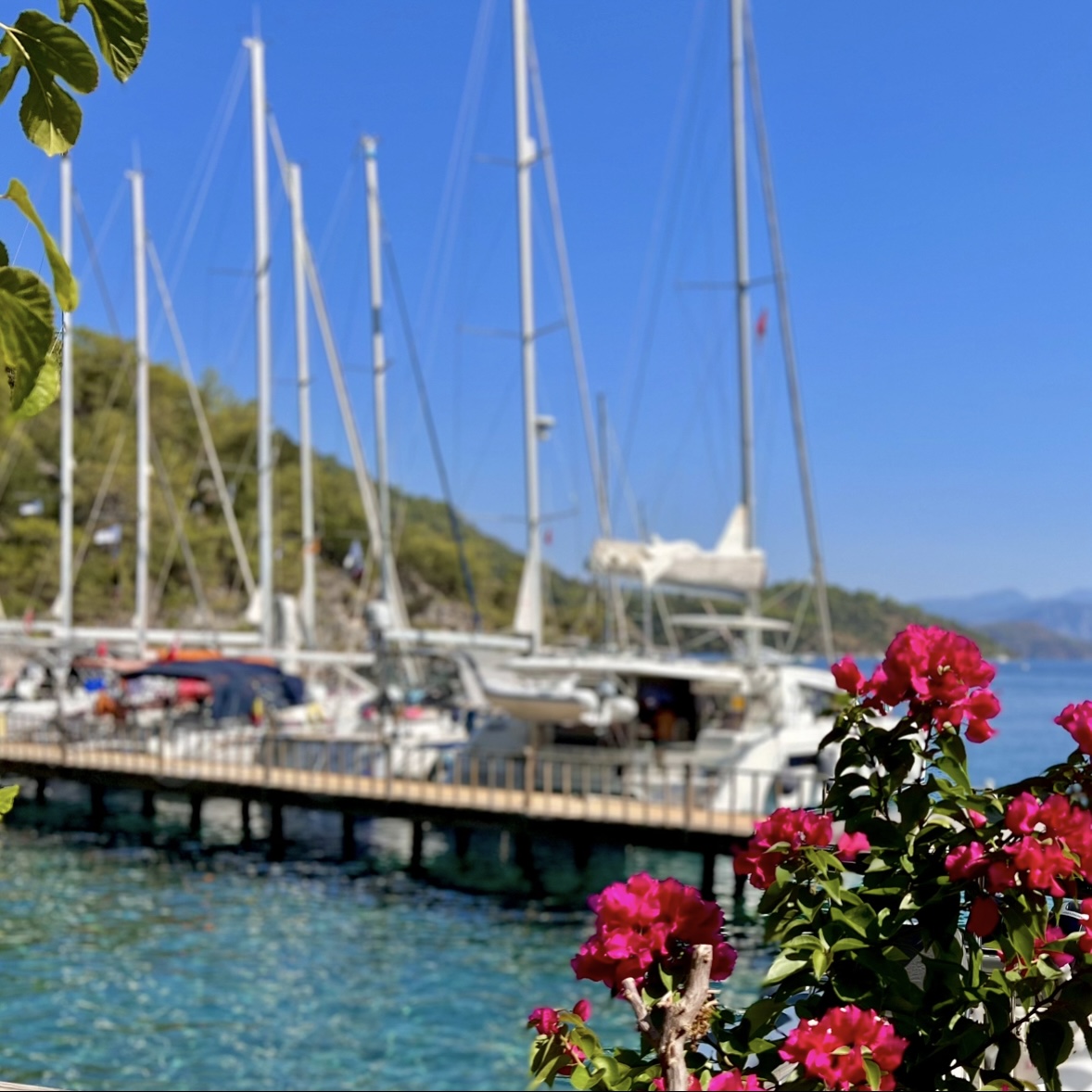 Солнце, паруса, просекко и лебедки!! Обучающий 7-дневный тур на яхте (8/8)