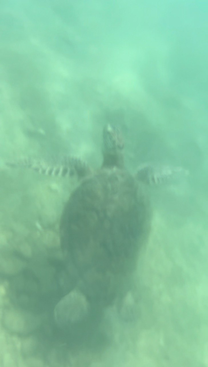 Шри-Ланка как в кино. Только ты в главной роли (51/68)