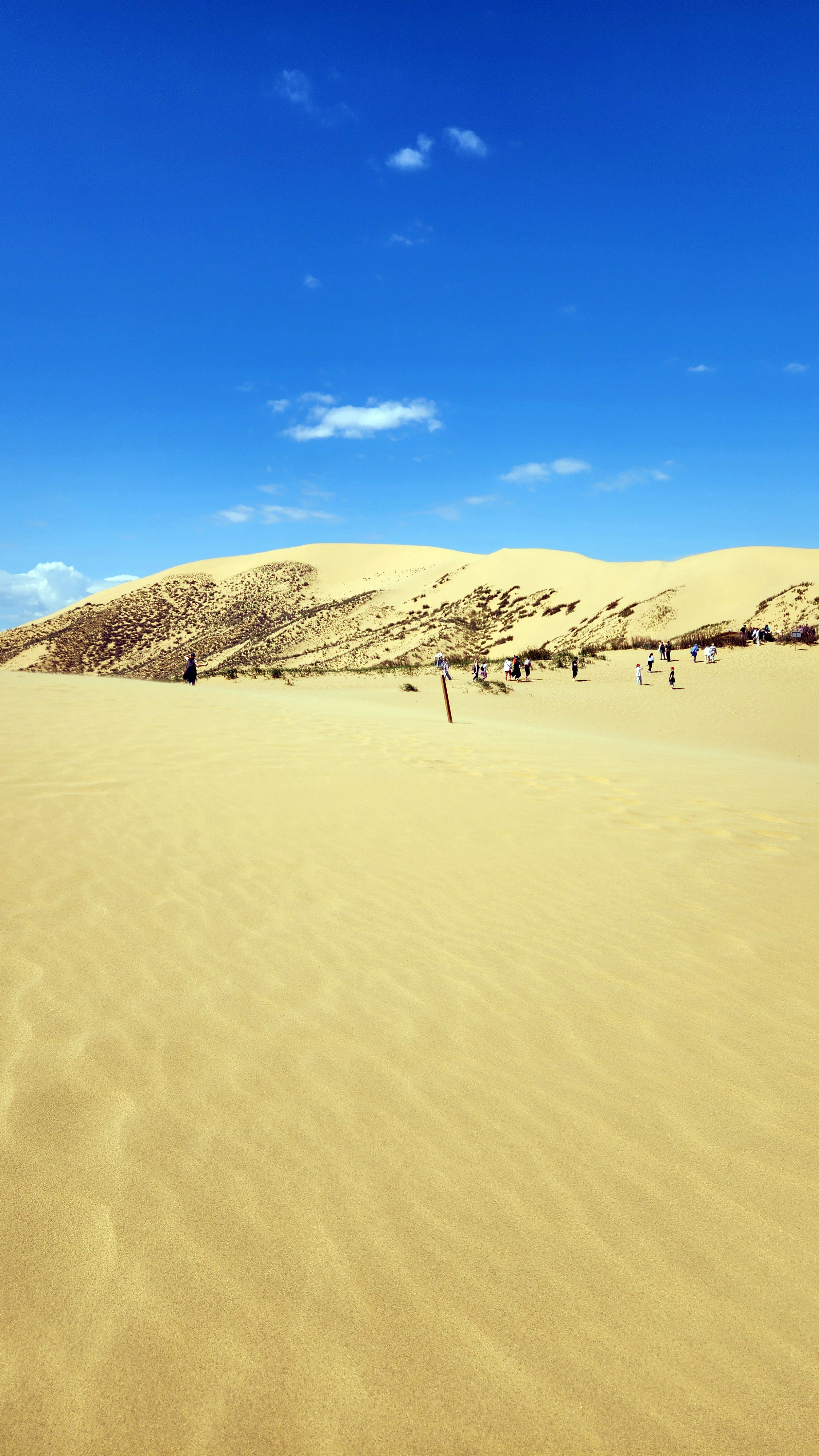 Сказочный Дагестан: Все Включено 5 дней (16/75)