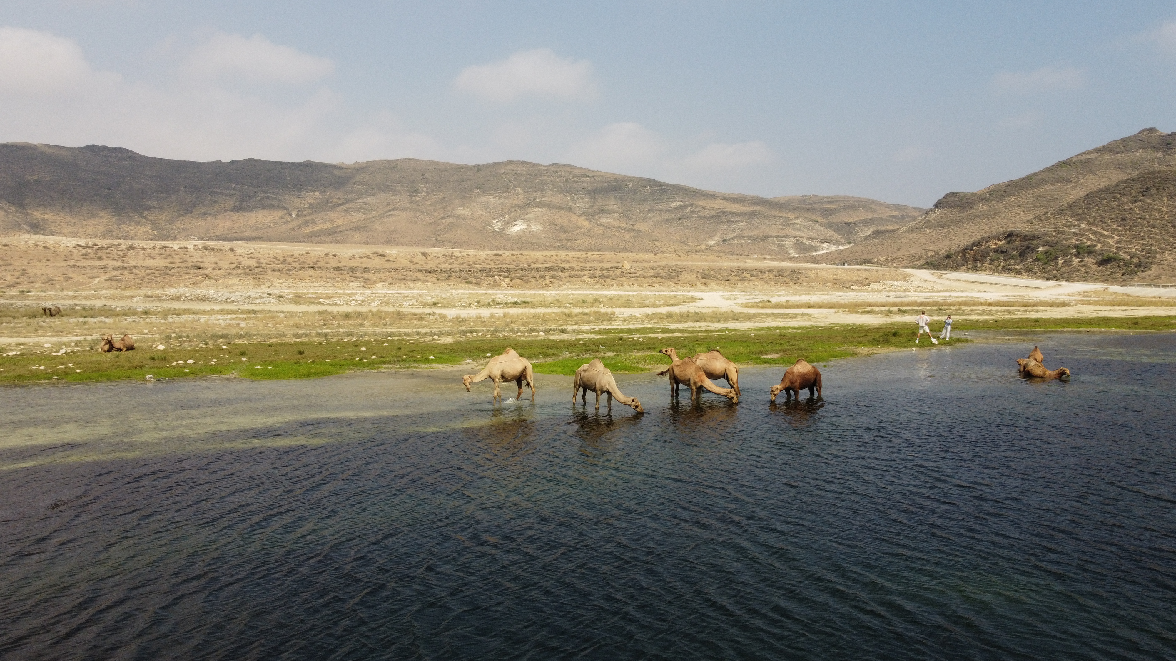 Легенды Дофара: путешествие по Салале (3/10)
