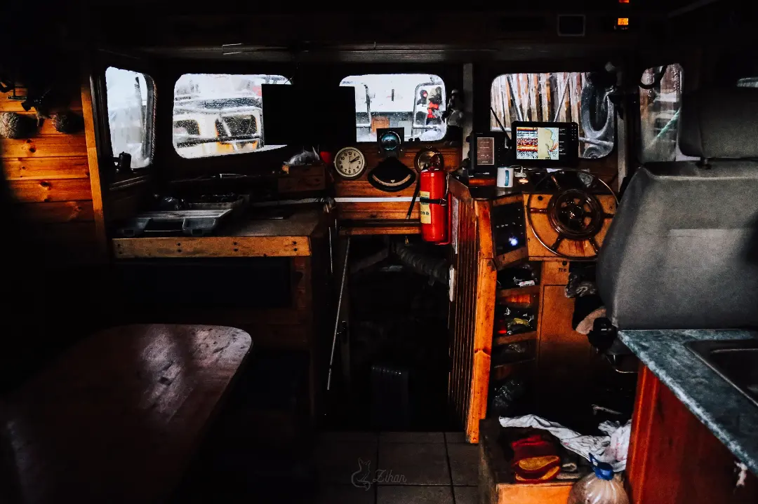 Тур к китам в Териберку (15/23)