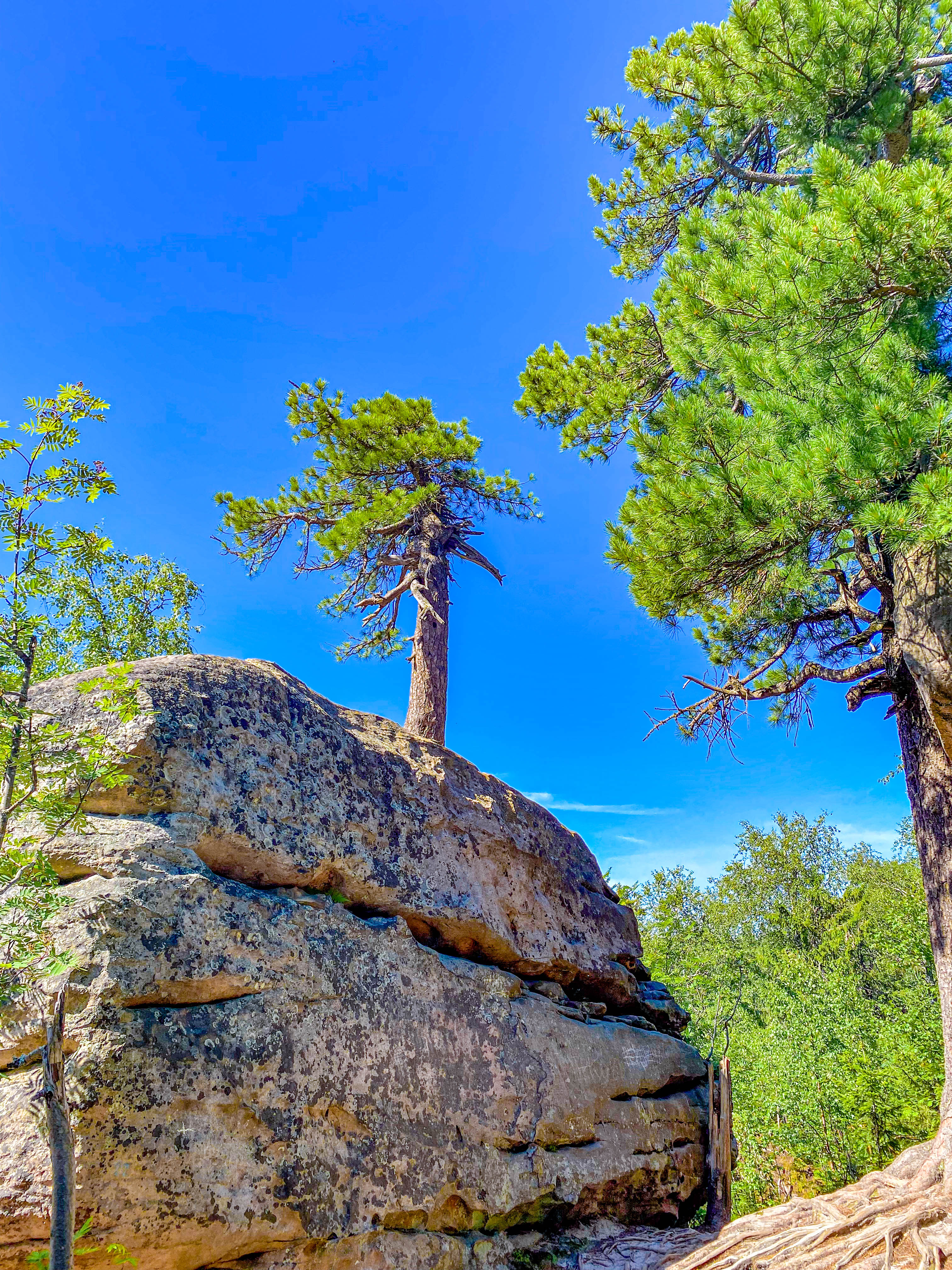 К Усьвинским столбам на лодке с ветерком (16/21)
