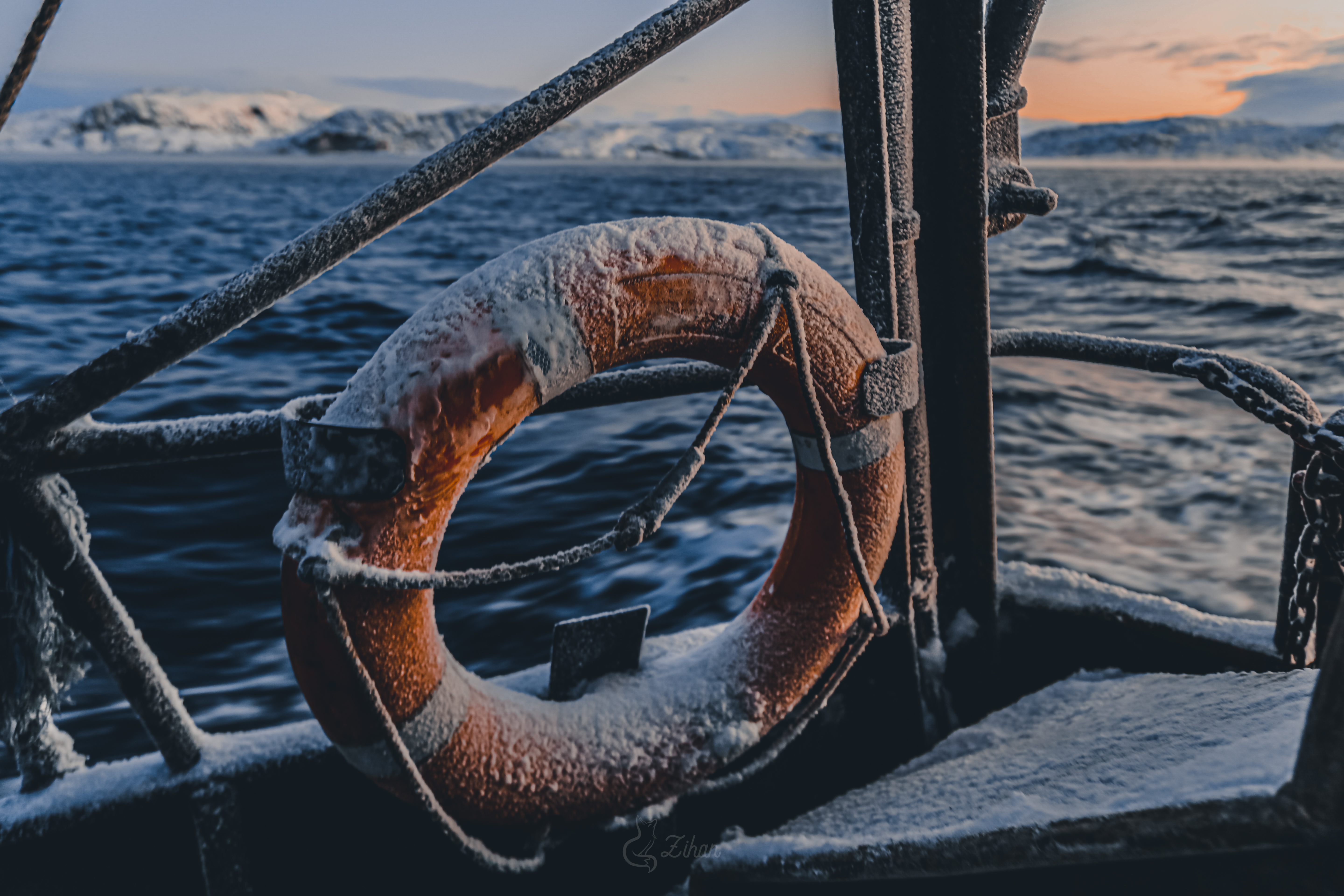 Тур к китам в Териберку (12/23)