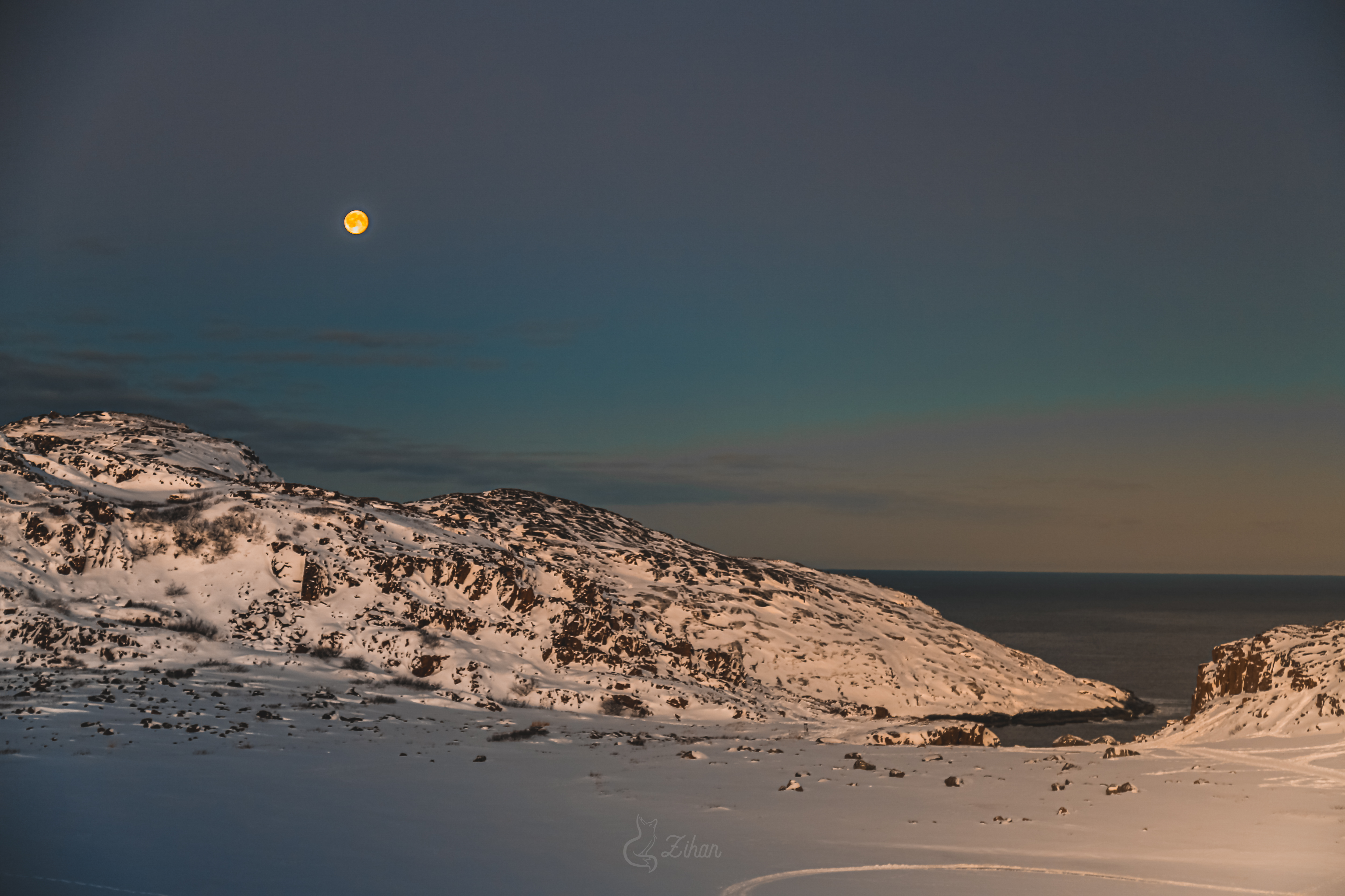 Тур к китам в Териберку (21/23)