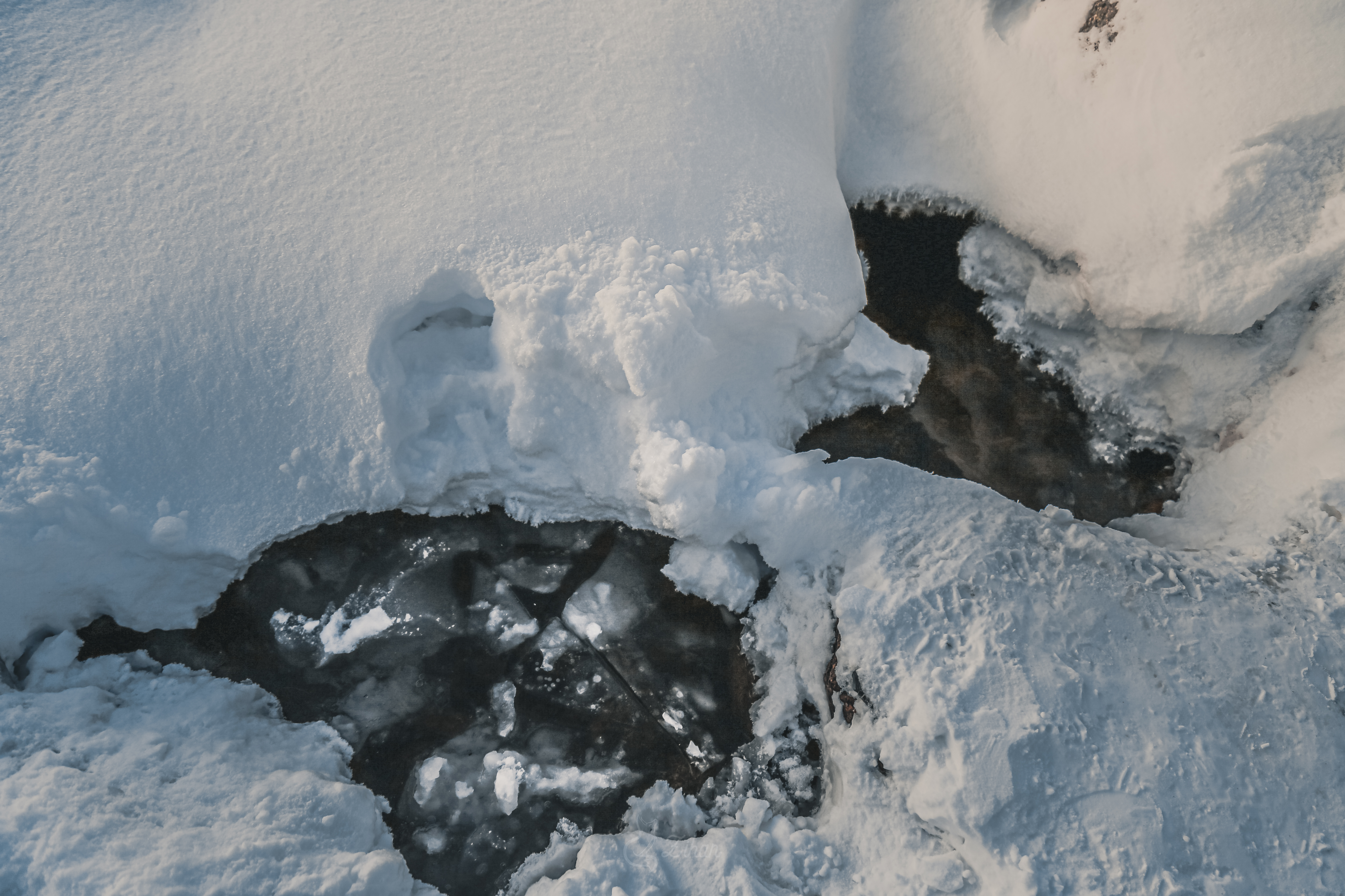 Тур к китам в Териберку (17/23)