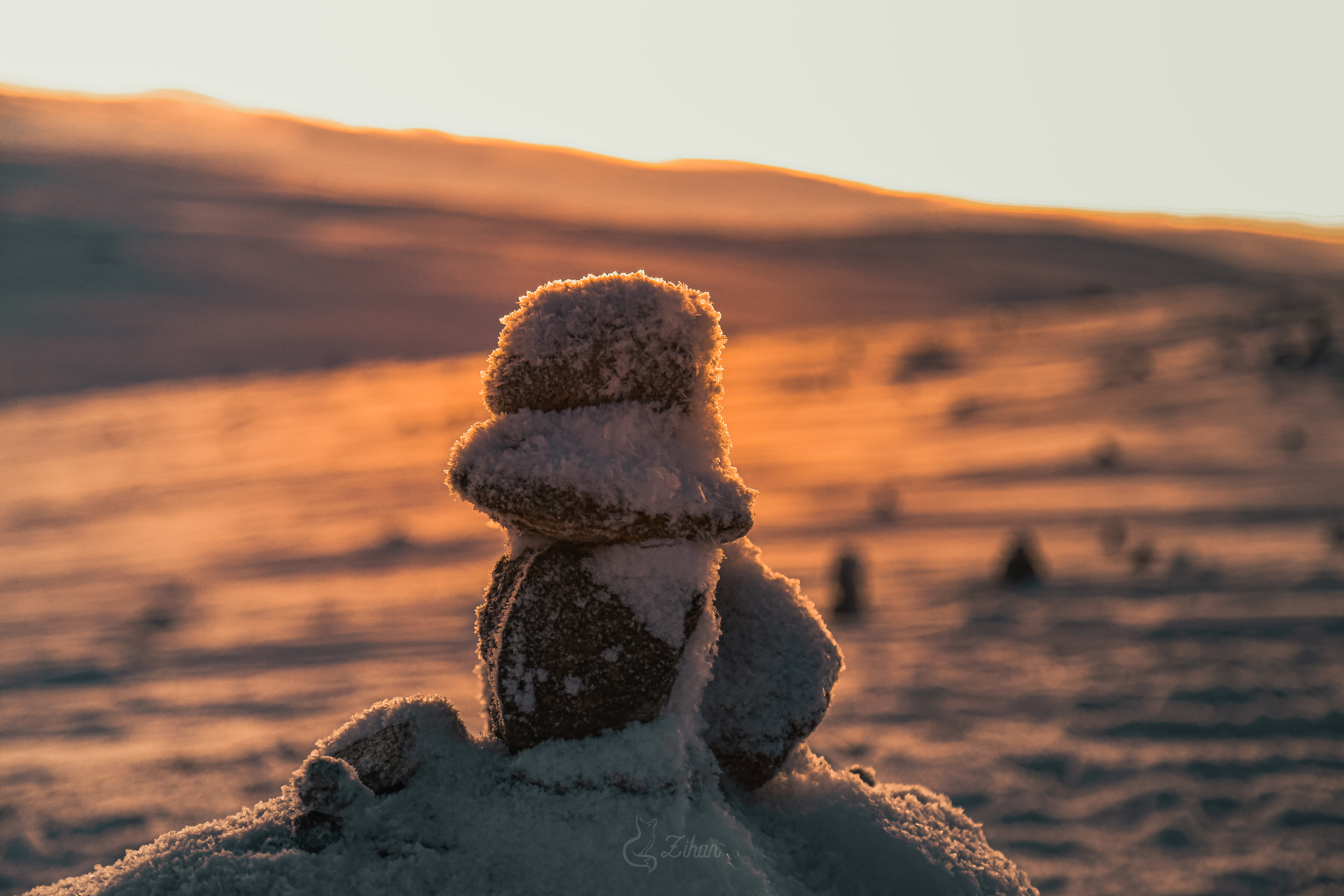 Тур к китам в Териберку (20/23)