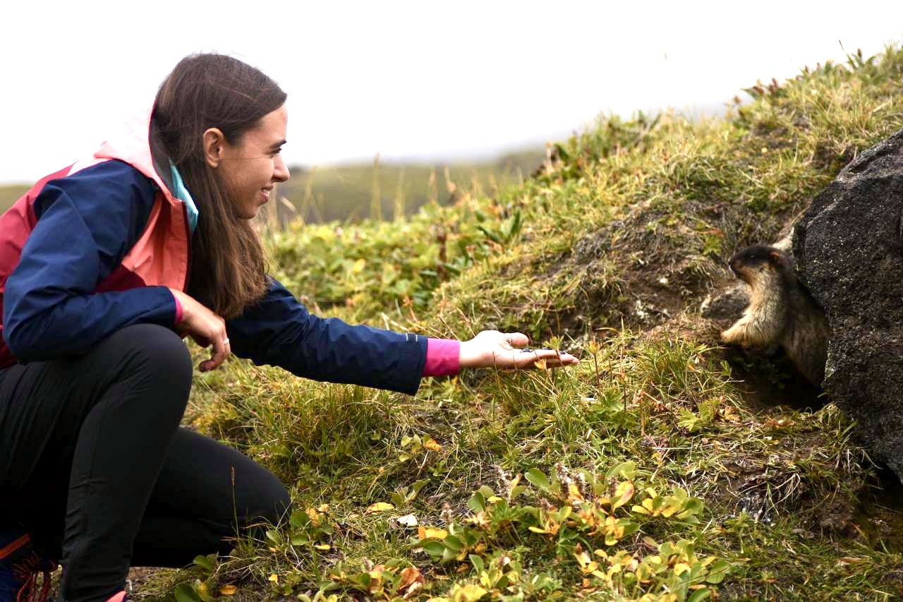 Летняя Камчатка. Край огнедышащих гор. (9/34)