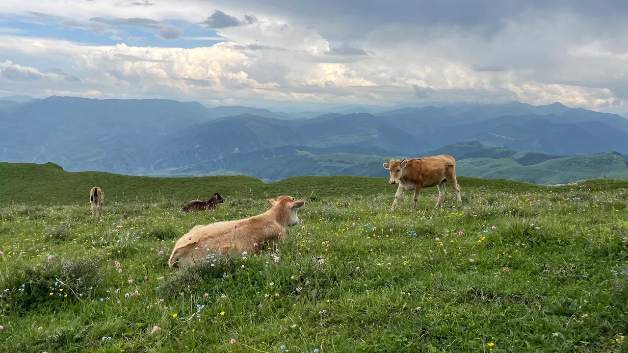 Тур-перезагрузка: Йога и путешествия по Дагестану (11/14)